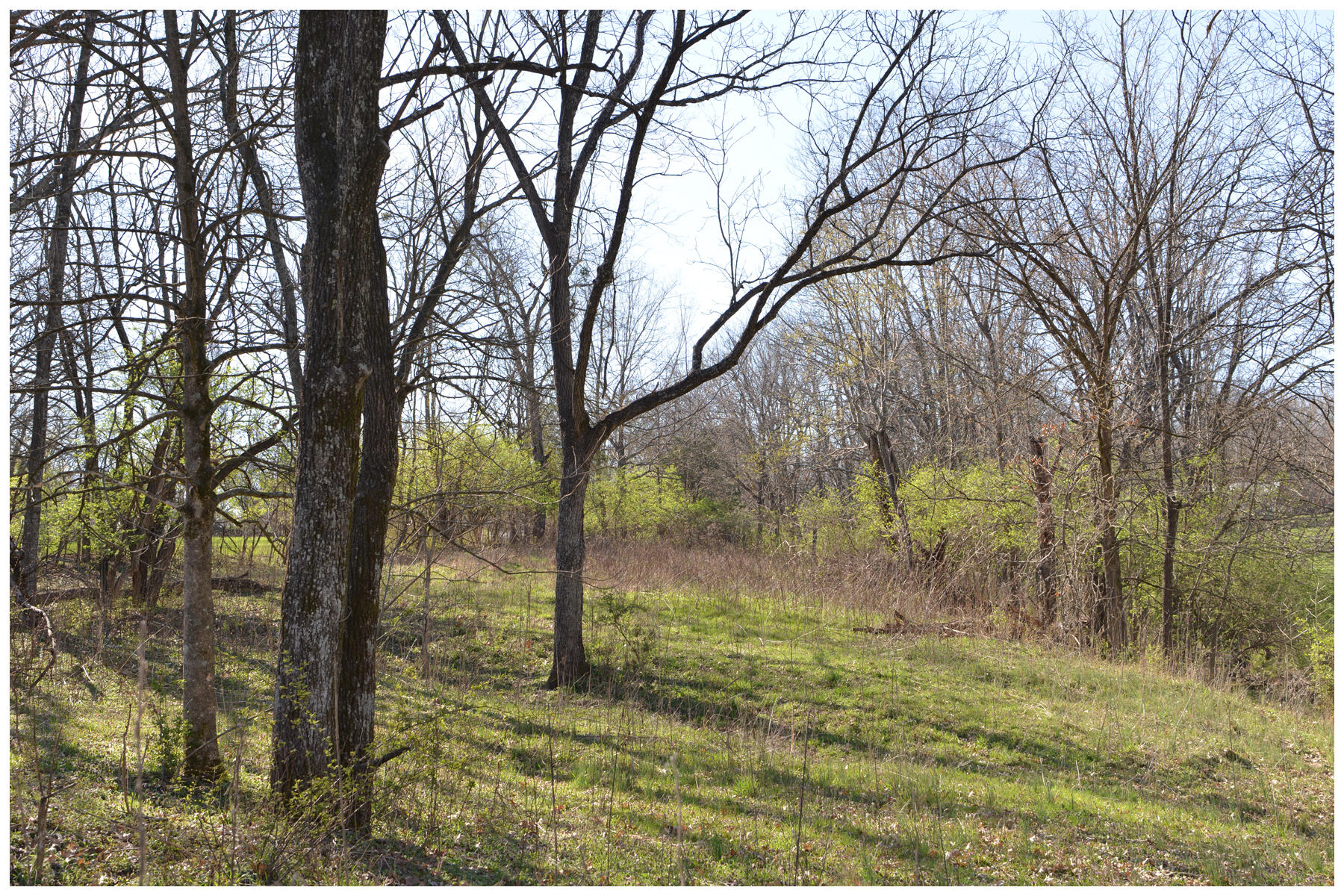 1021 Hanley Lane Property Photo 27