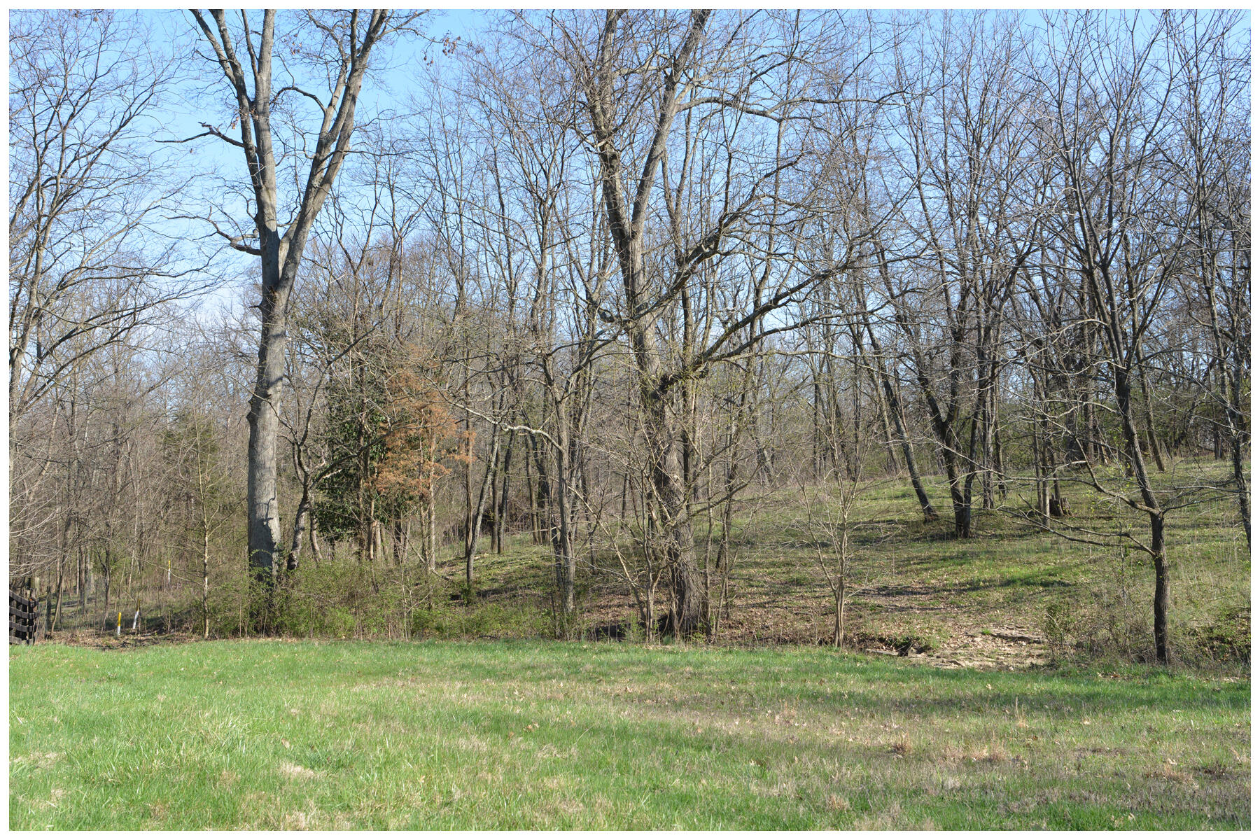 1021 Hanley Lane Property Photo 29