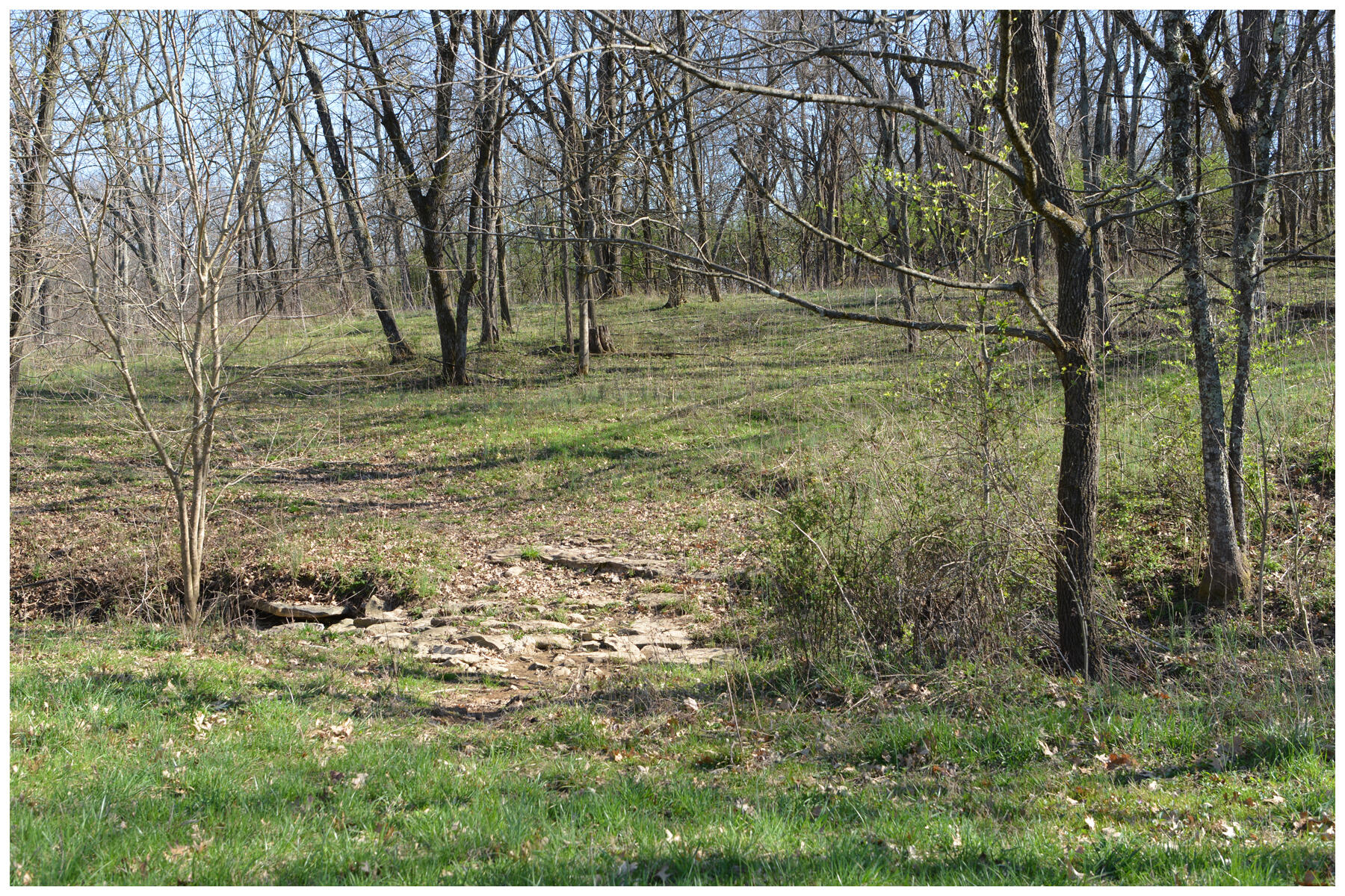 1021 Hanley Lane Property Photo 30