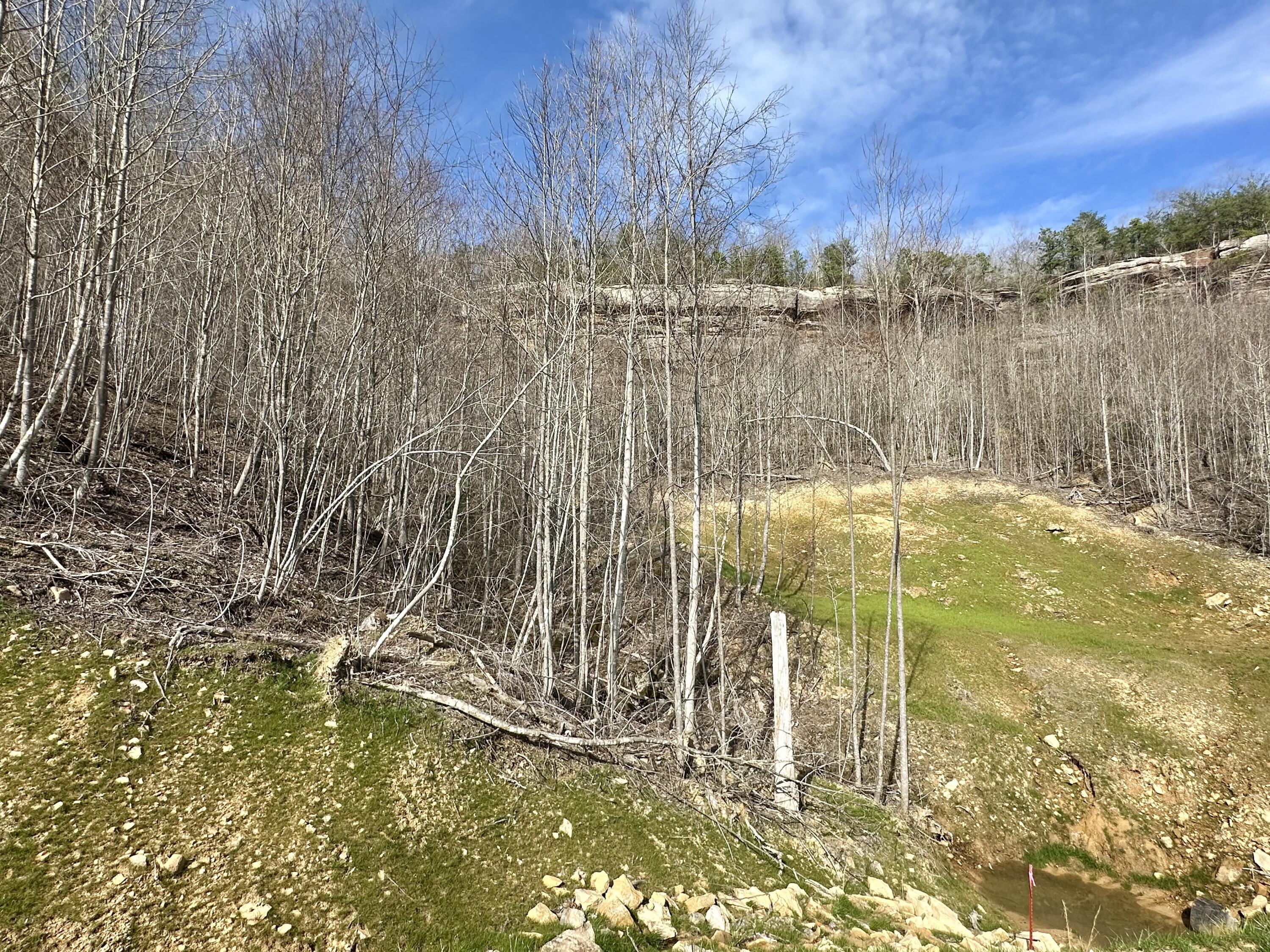 Lot 6 Sleepy Hollow Road Lot 6 Property Photo 6