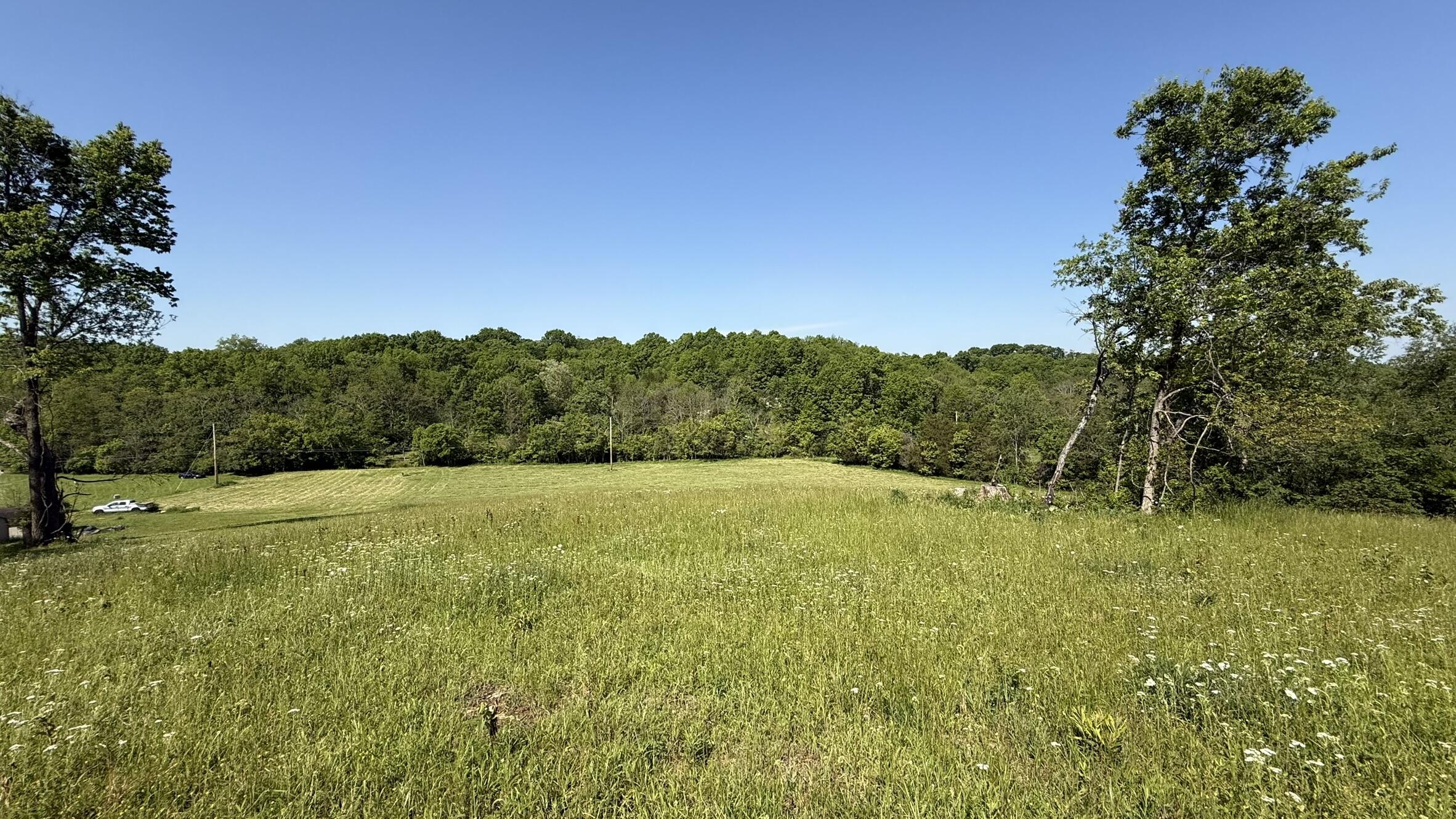 787 Morris Road Property Photo 1