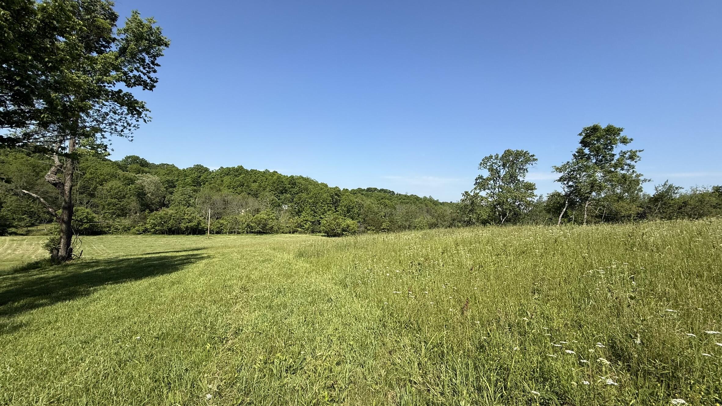 787 Morris Road Property Photo 3
