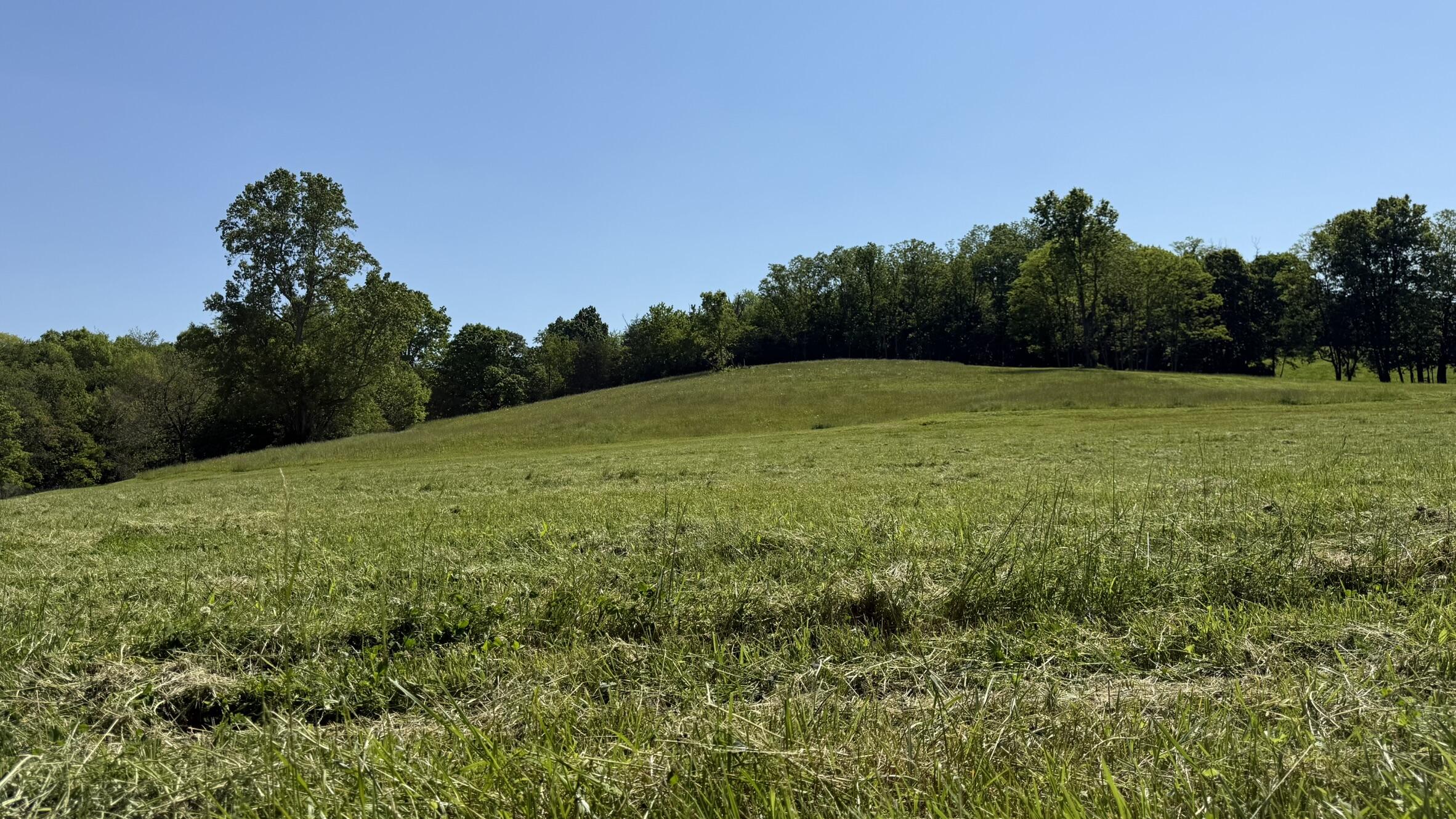 787 Morris Road Property Photo 4