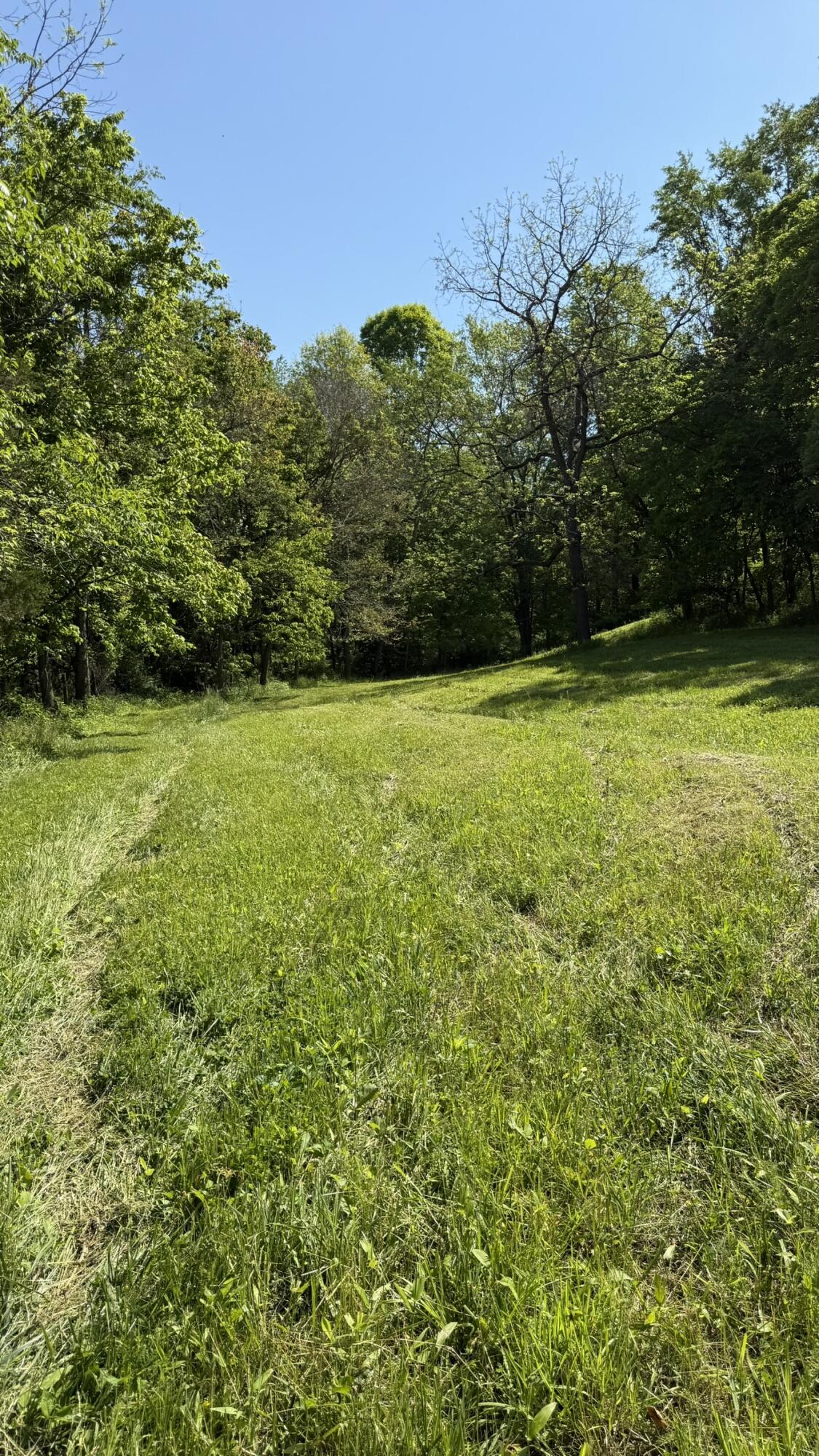 787 Morris Road Property Photo 5