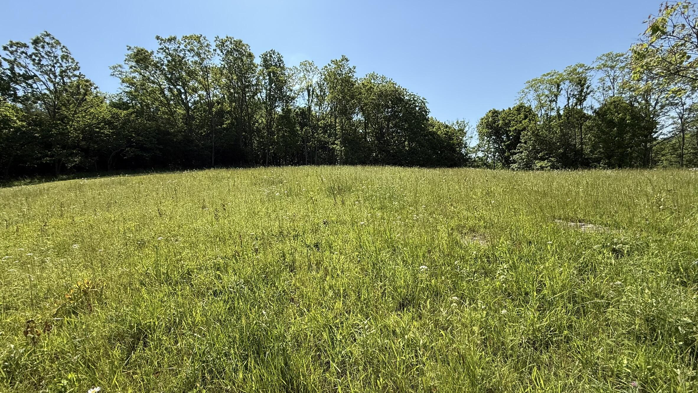 787 Morris Road Property Photo 6