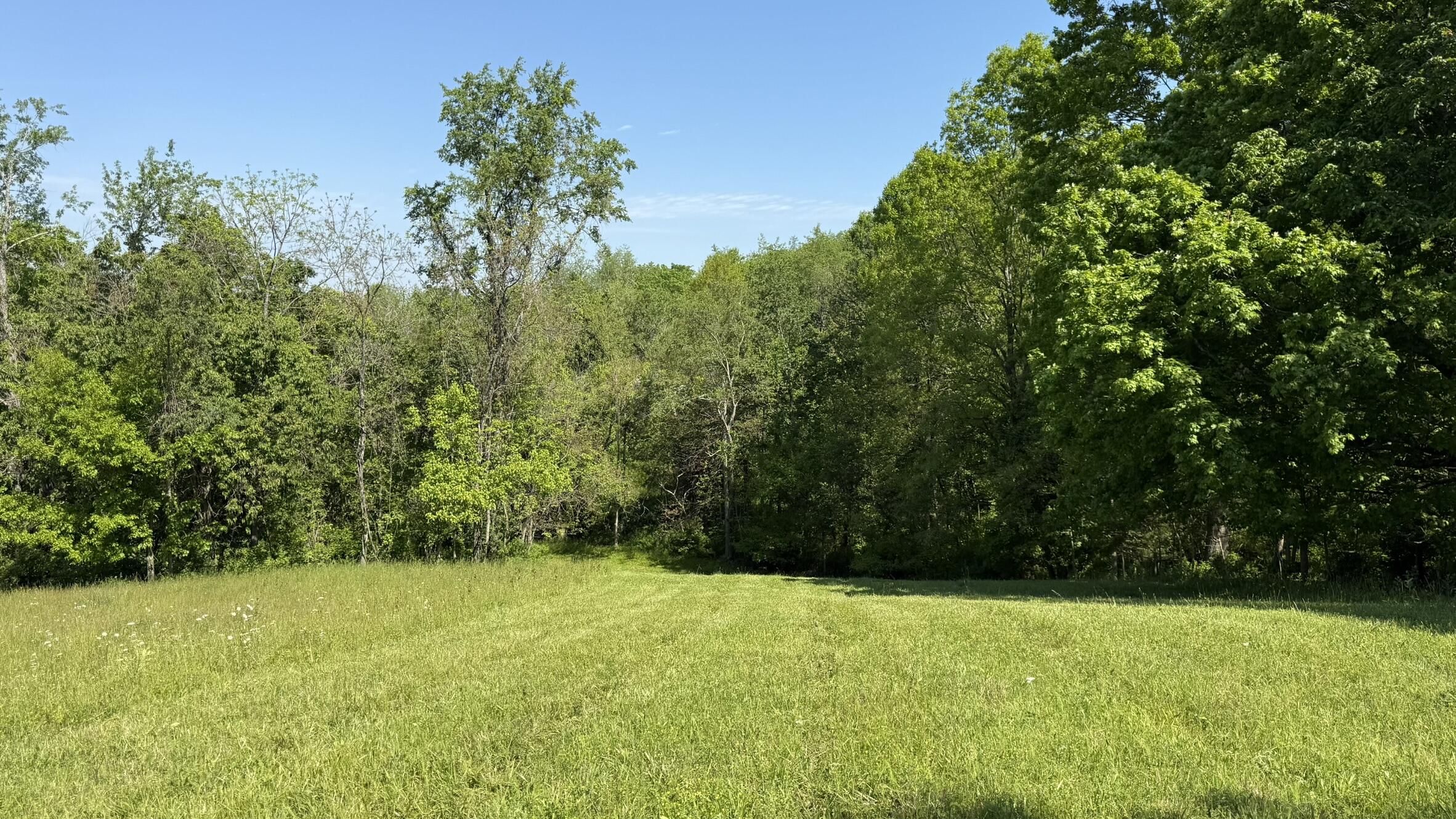 787 Morris Road Property Photo 8