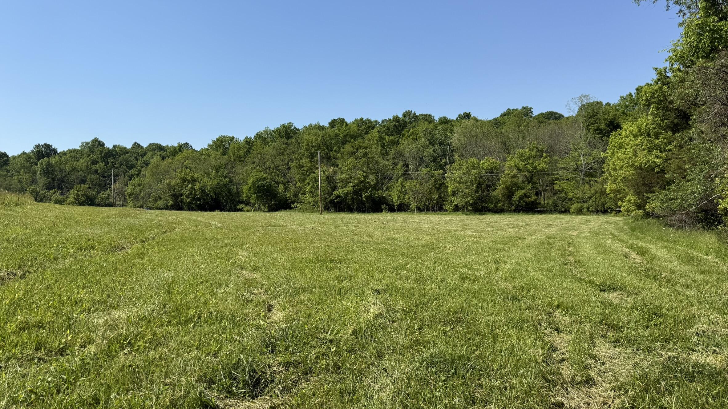 787 Morris Road Property Photo 11