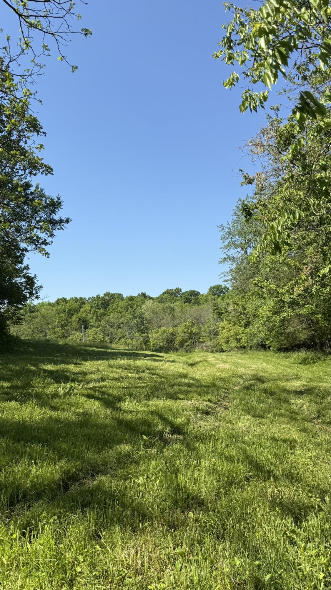 787 Morris Road Property Photo 15
