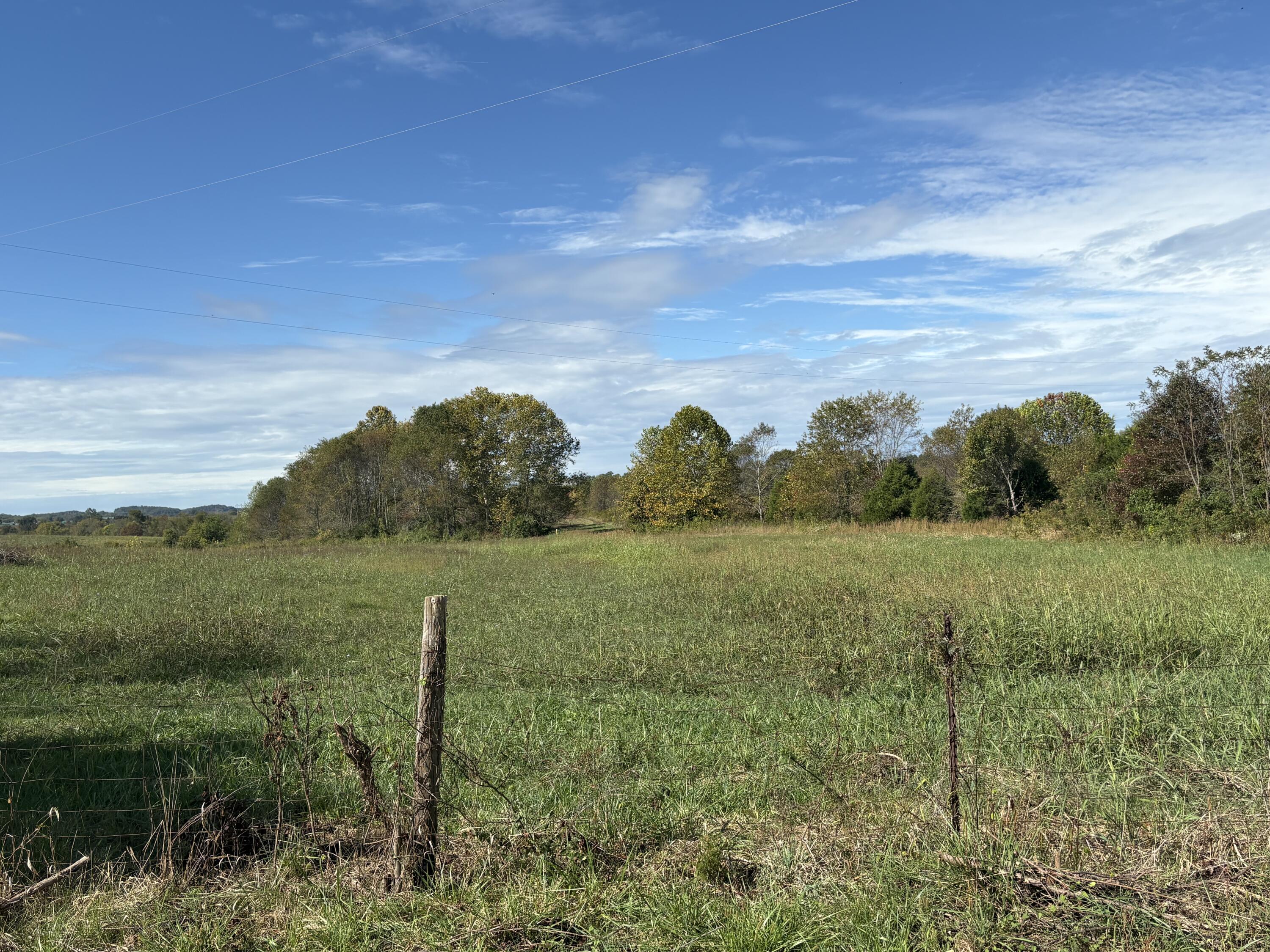 3934 Trapp-goffs Corner Road Property Photo 4