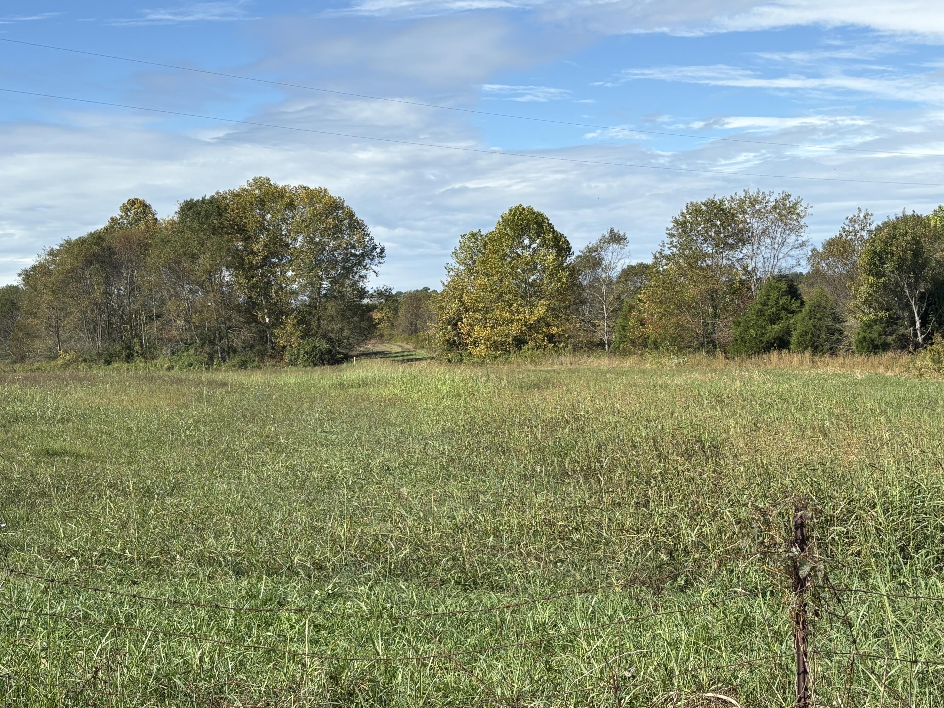3934 Trapp-goffs Corner Road Property Photo 5