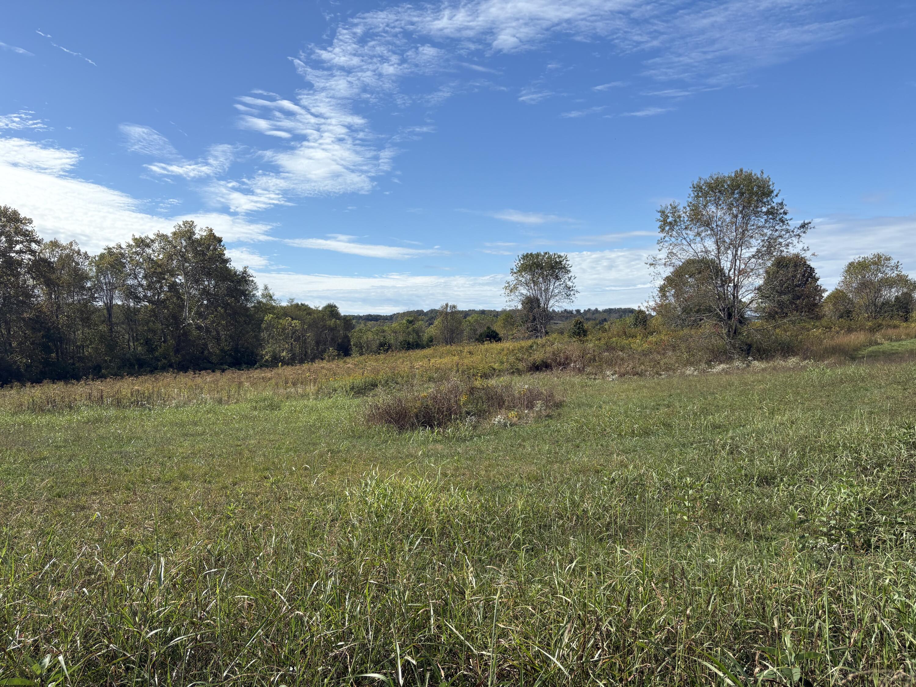 3934 Trapp-goffs Corner Road Property Photo 6