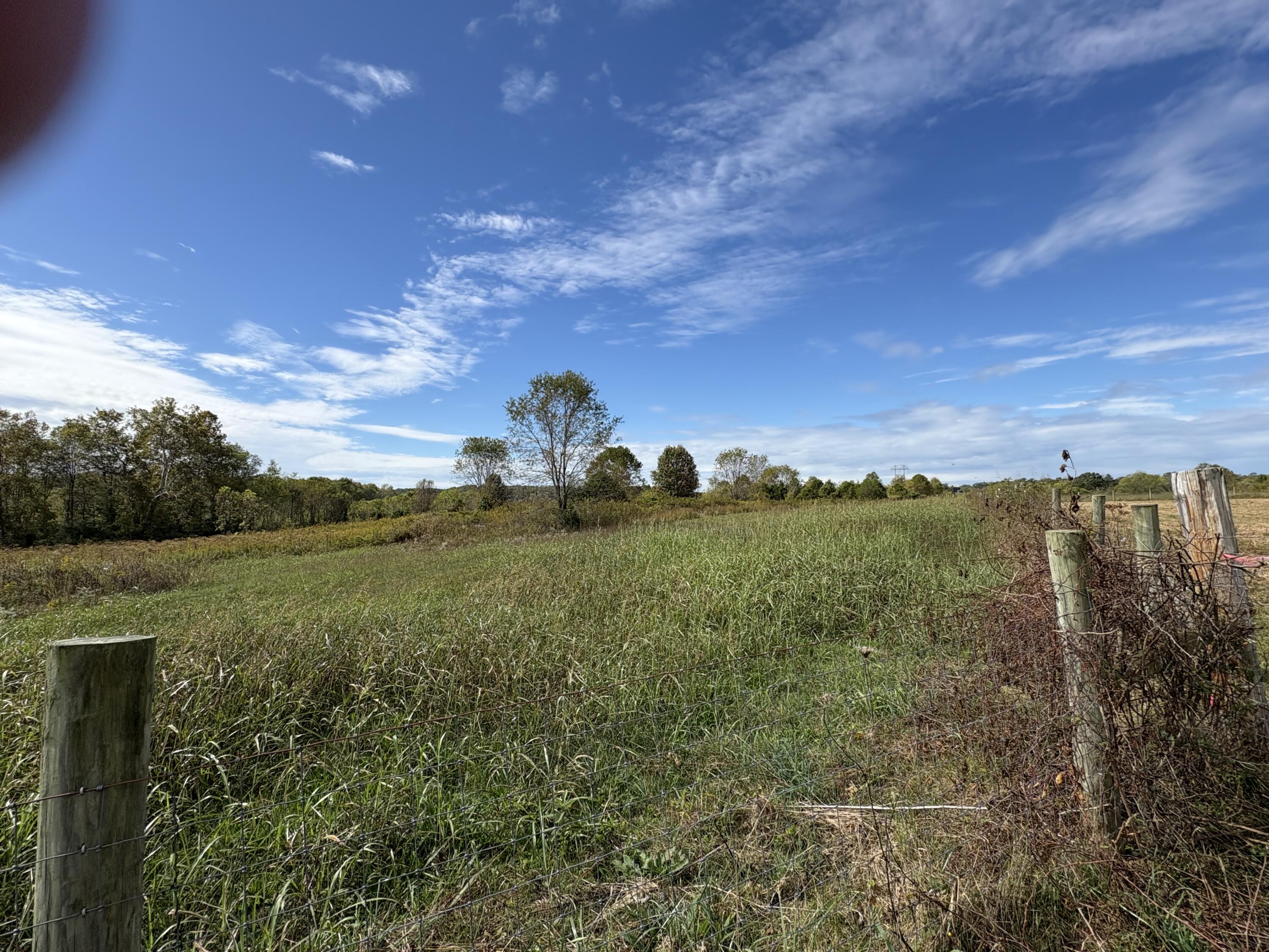 3934 Trapp-goffs Corner Road Property Photo 7