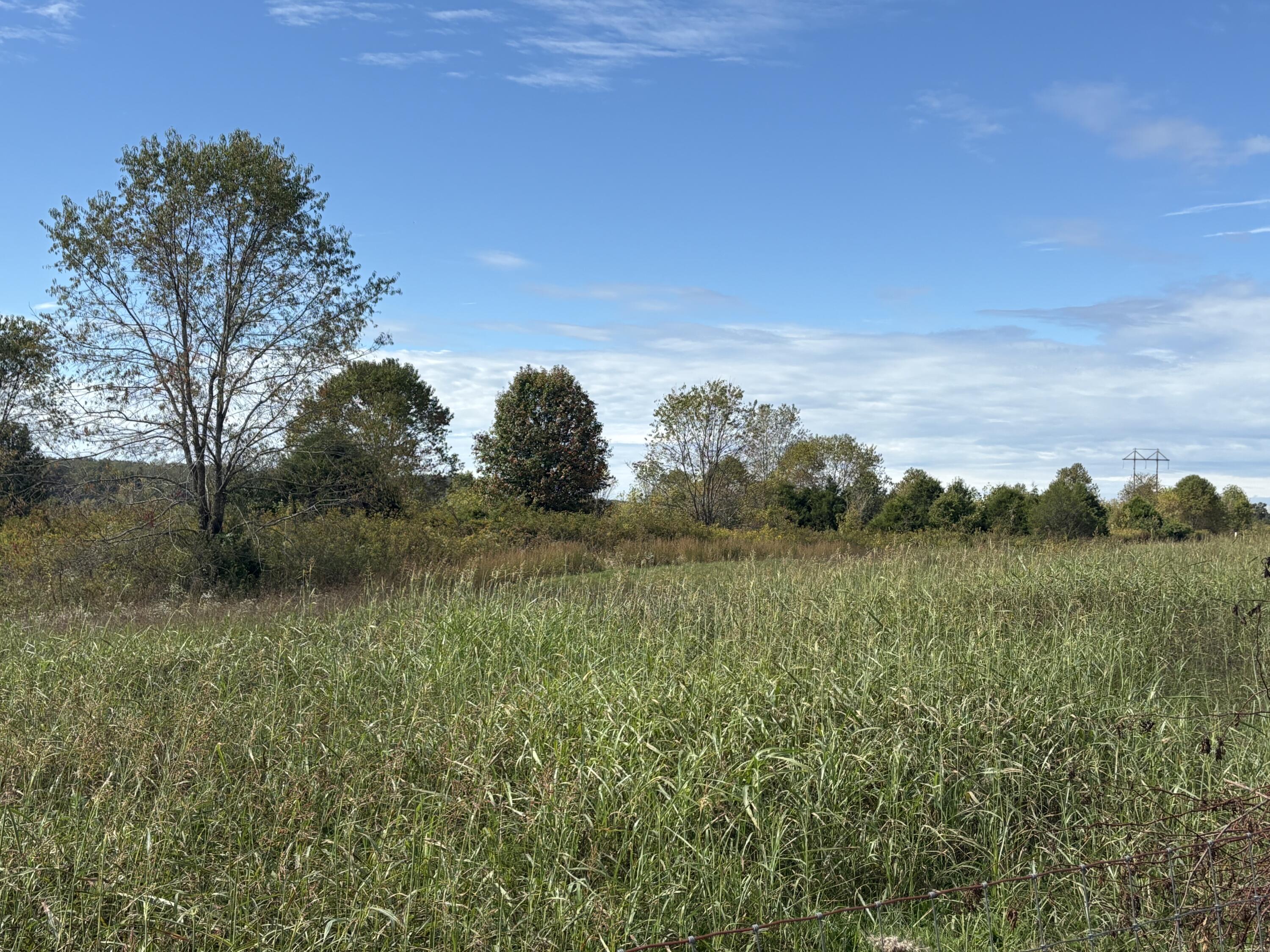 3934 Trapp-goffs Corner Road Property Photo 8