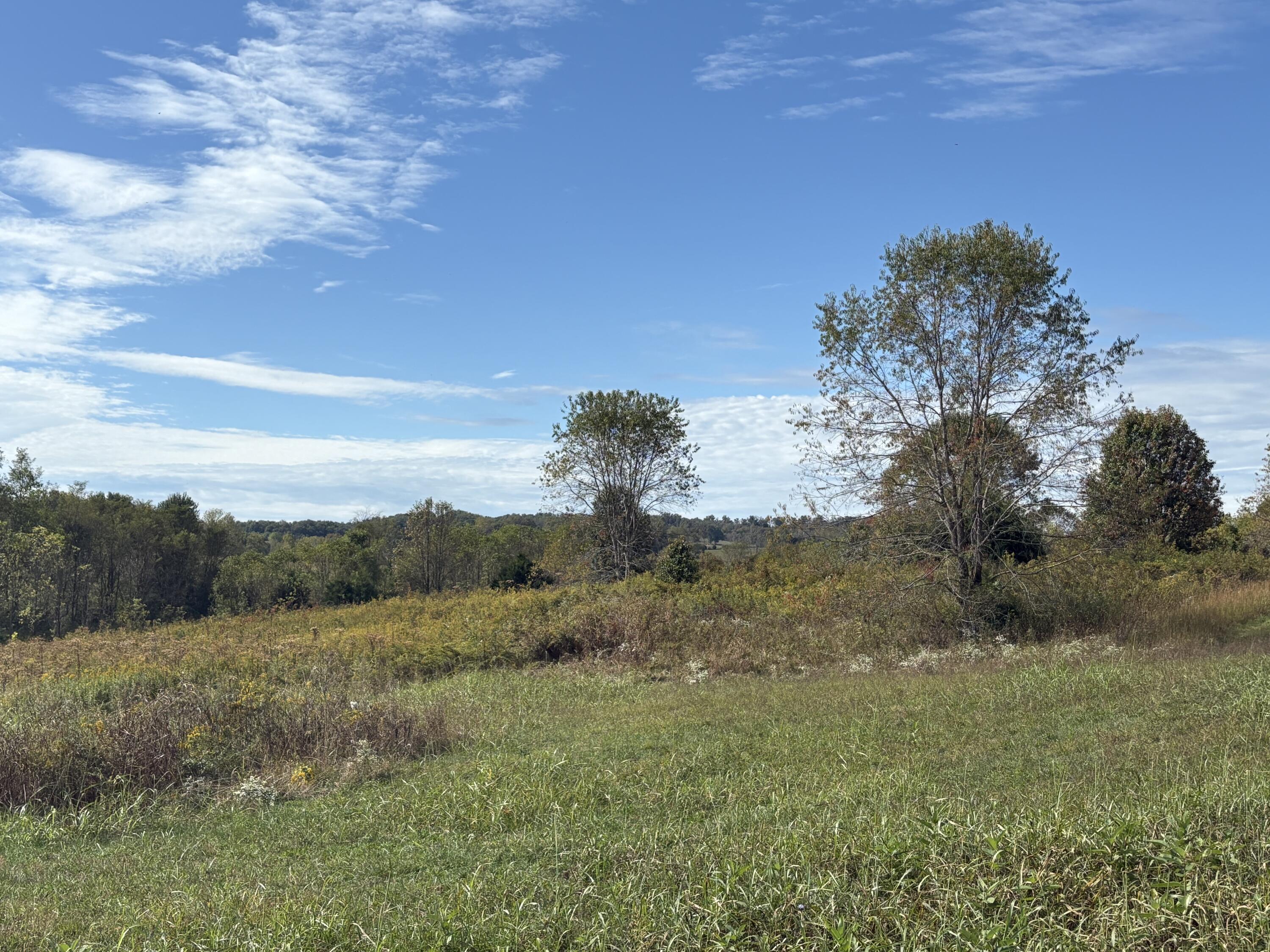 3934 Trapp-goffs Corner Road Property Photo 9