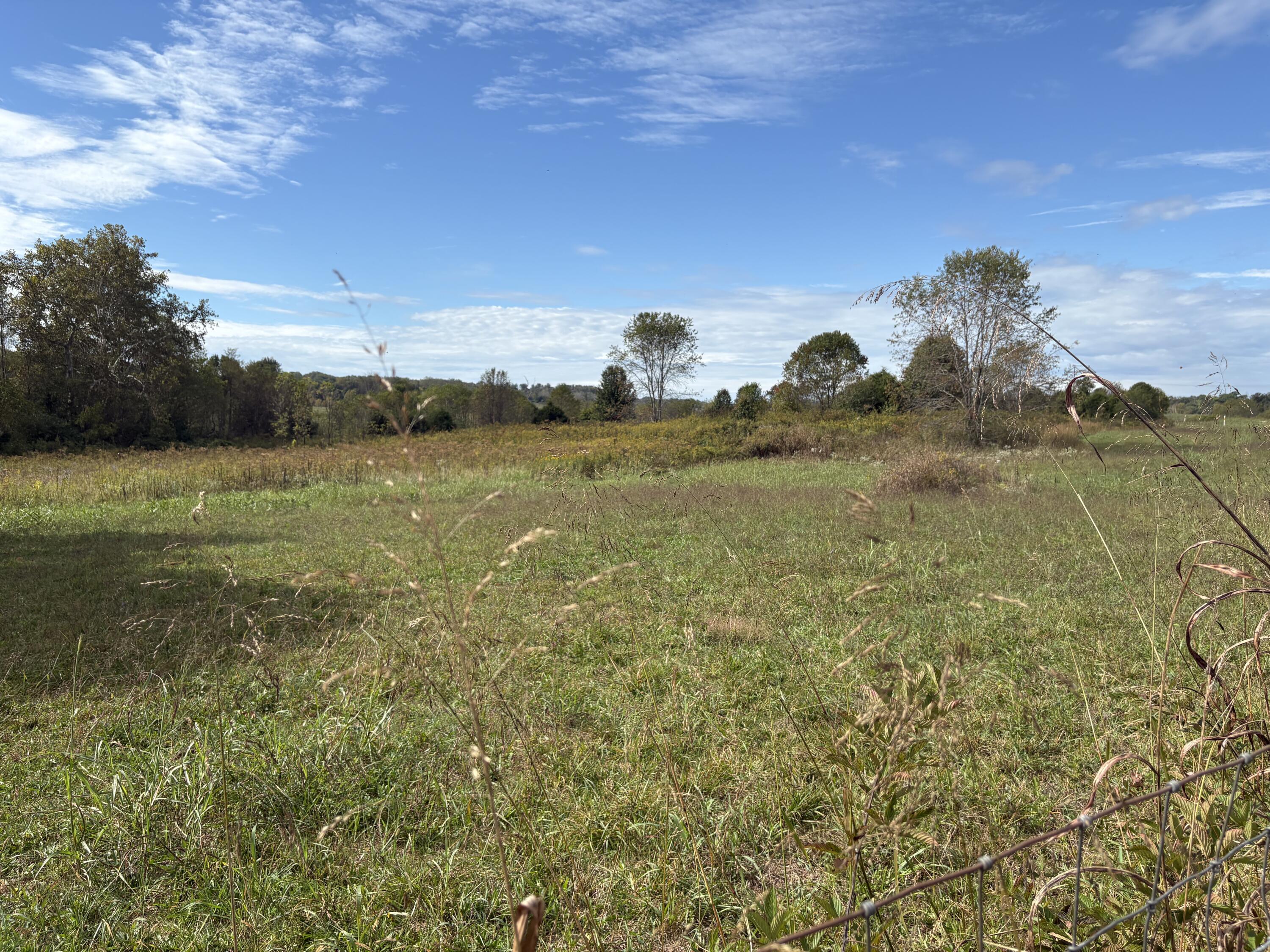 3934 Trapp-goffs Corner Road Property Photo 11