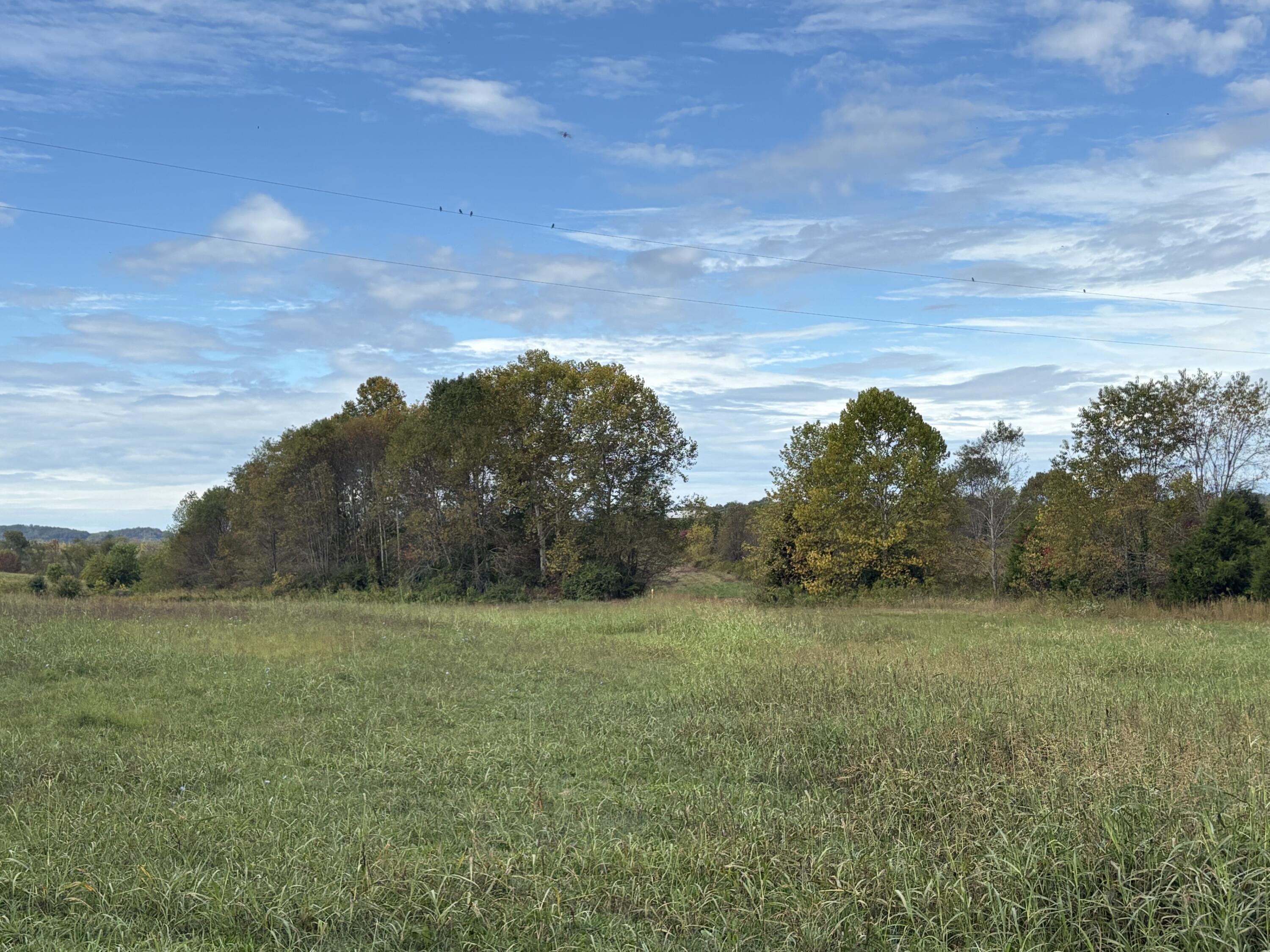 3934 Trapp-goffs Corner Road Property Photo 12