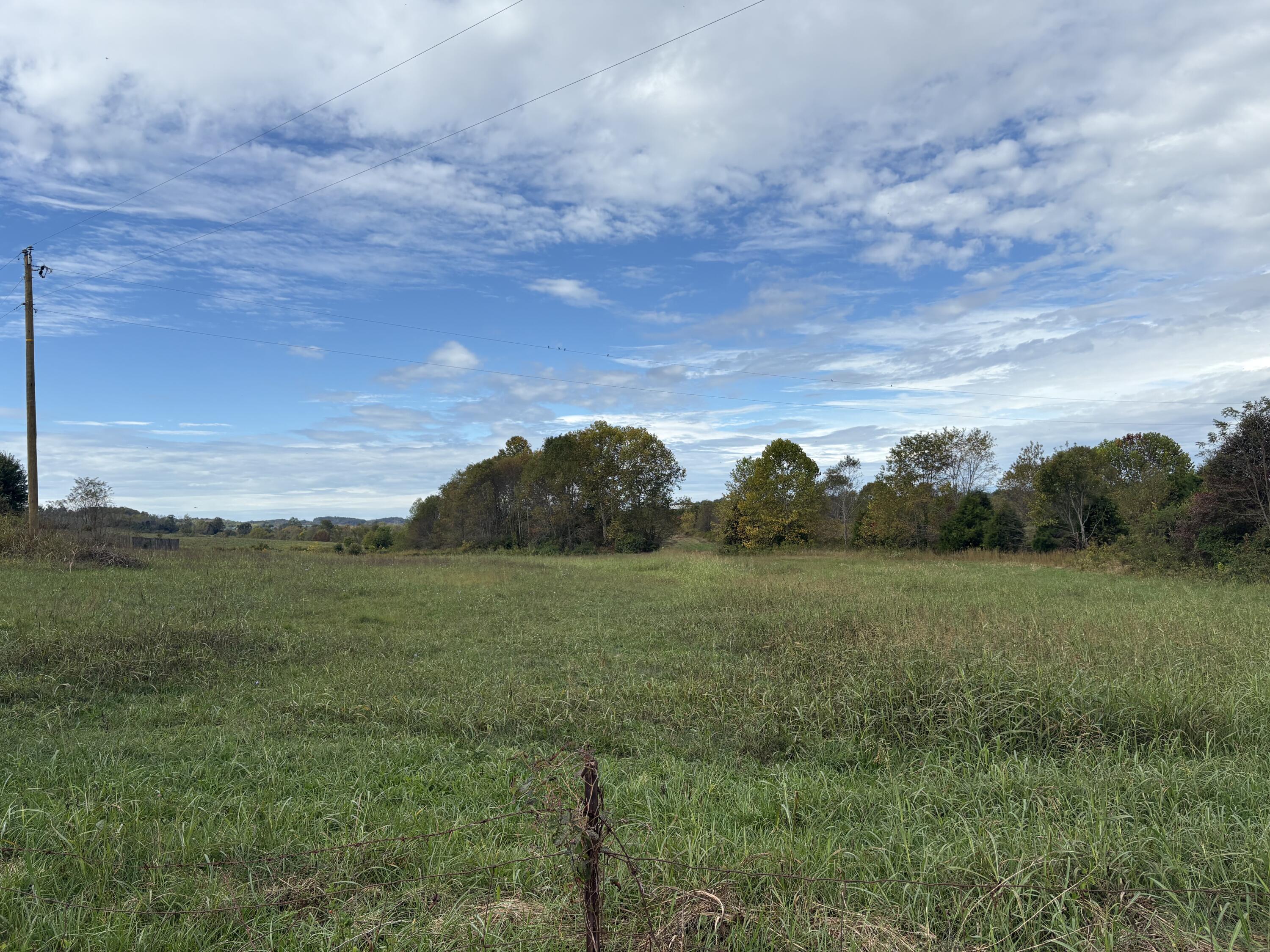 3934 Trapp-goffs Corner Road Property Photo 13