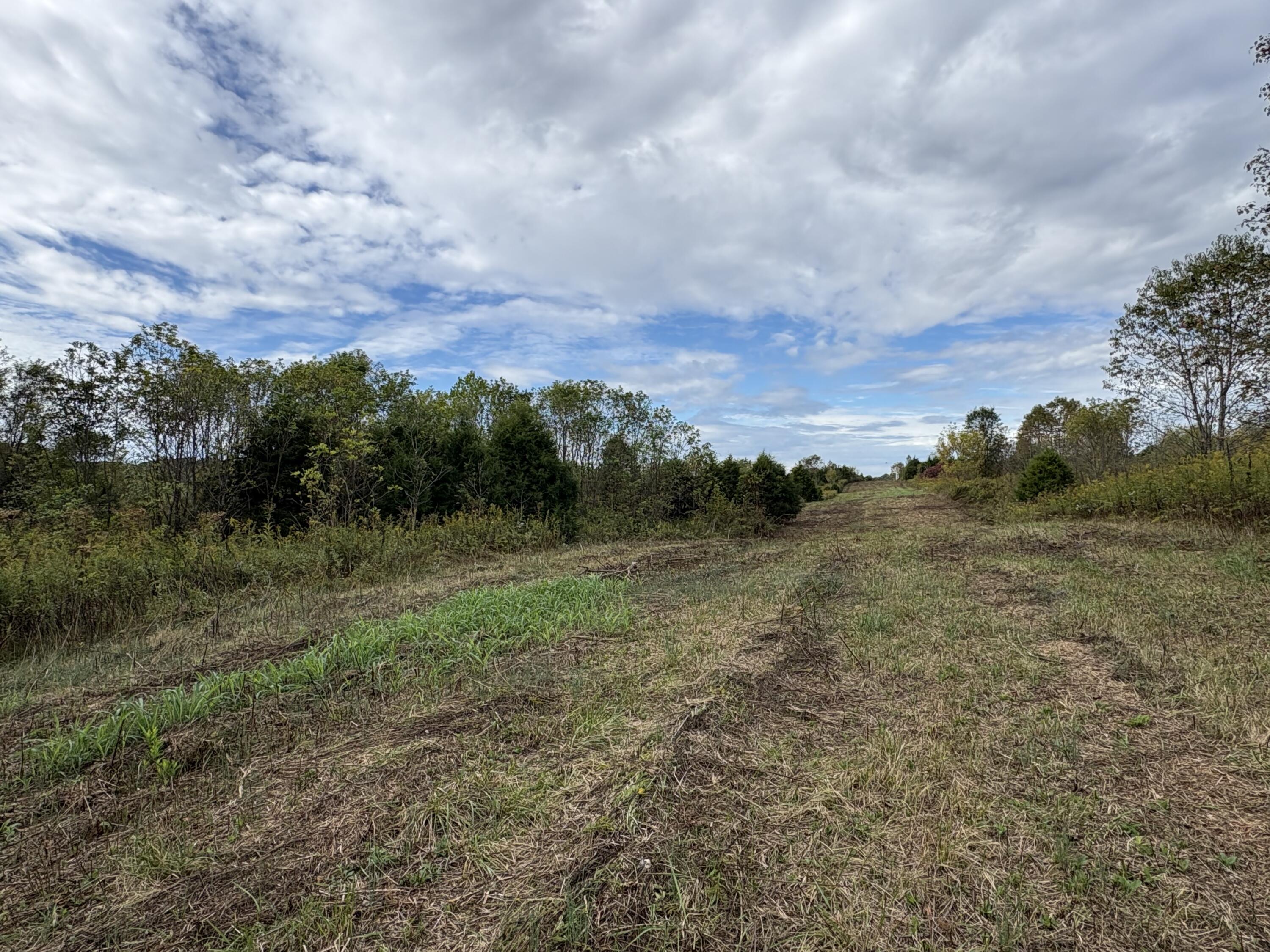 3934 Trapp-goffs Corner Road Property Photo 16