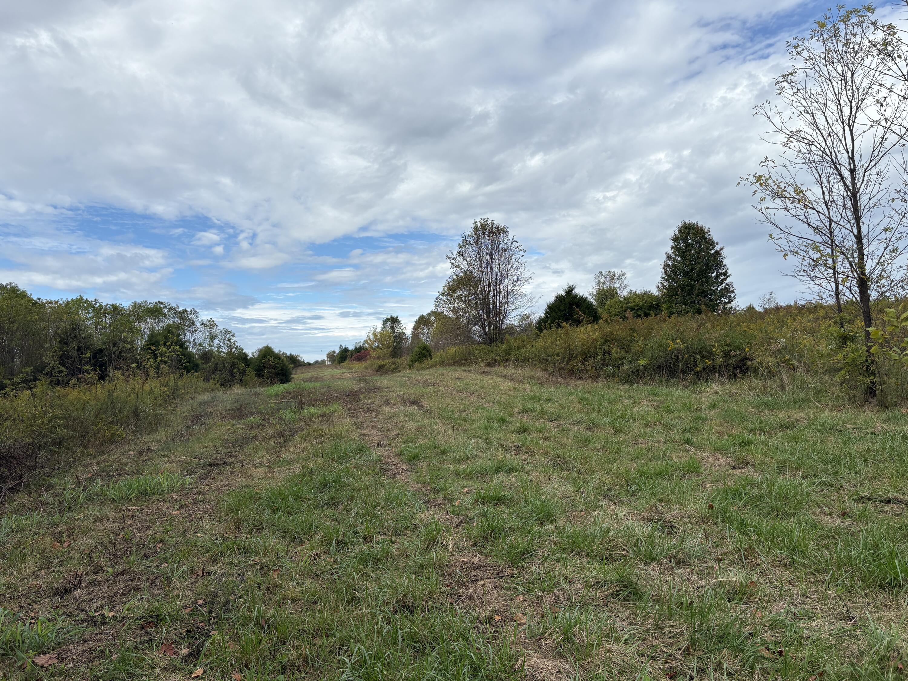 3934 Trapp-goffs Corner Road Property Photo 17