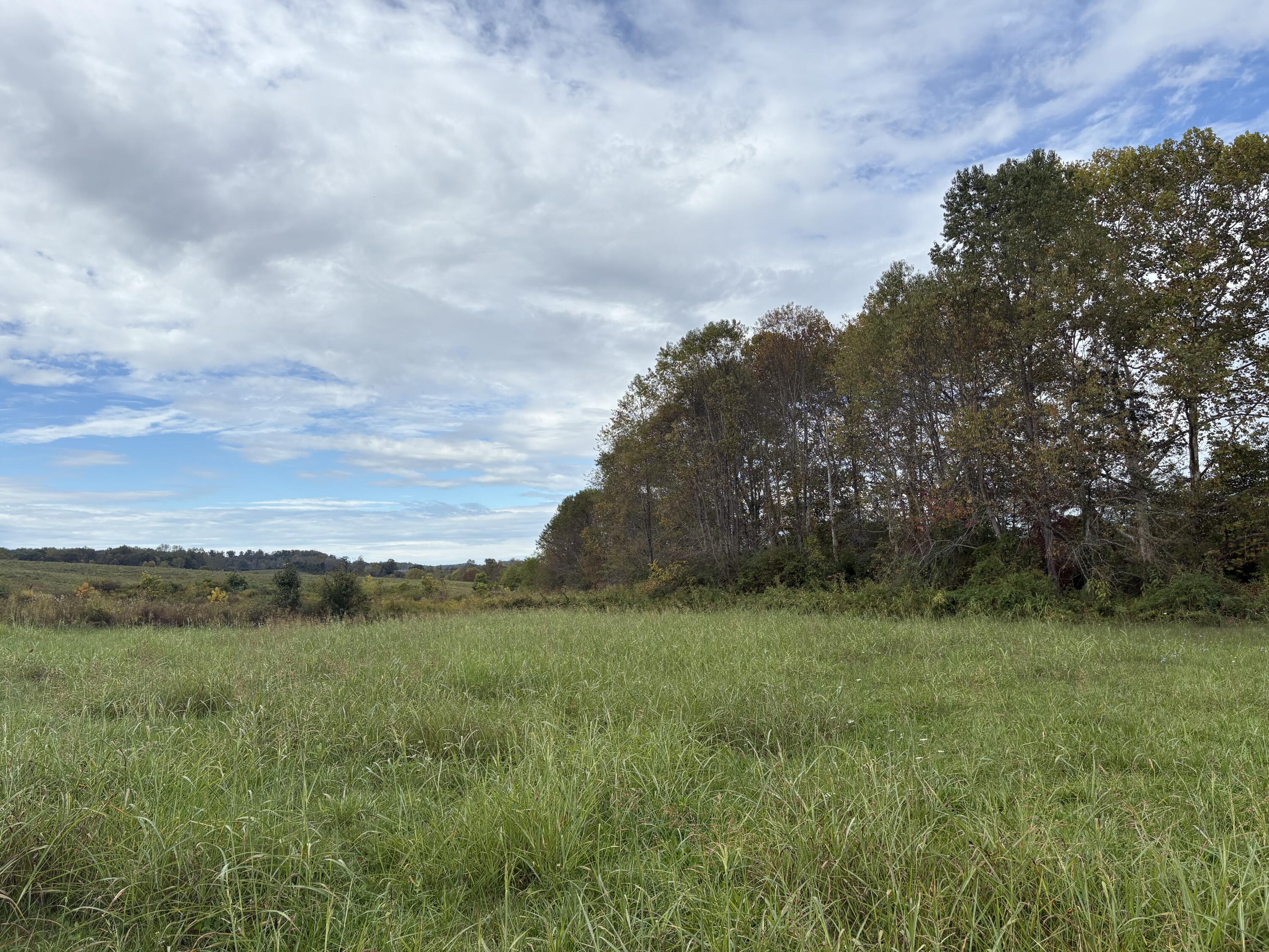 3934 Trapp-goffs Corner Road Property Photo 18