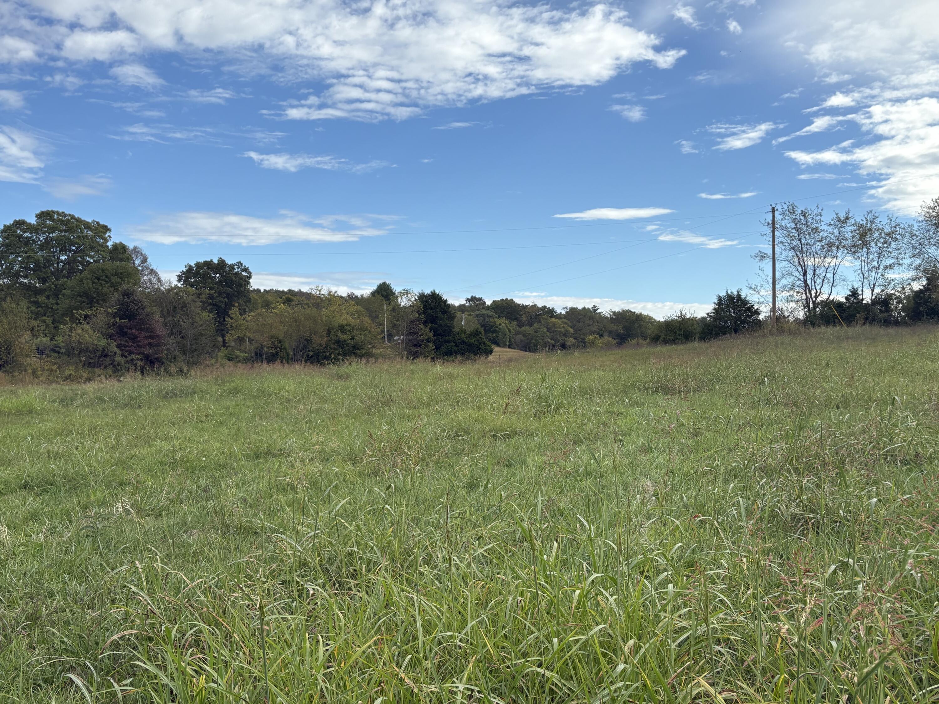 3934 Trapp-goffs Corner Road Property Photo 19
