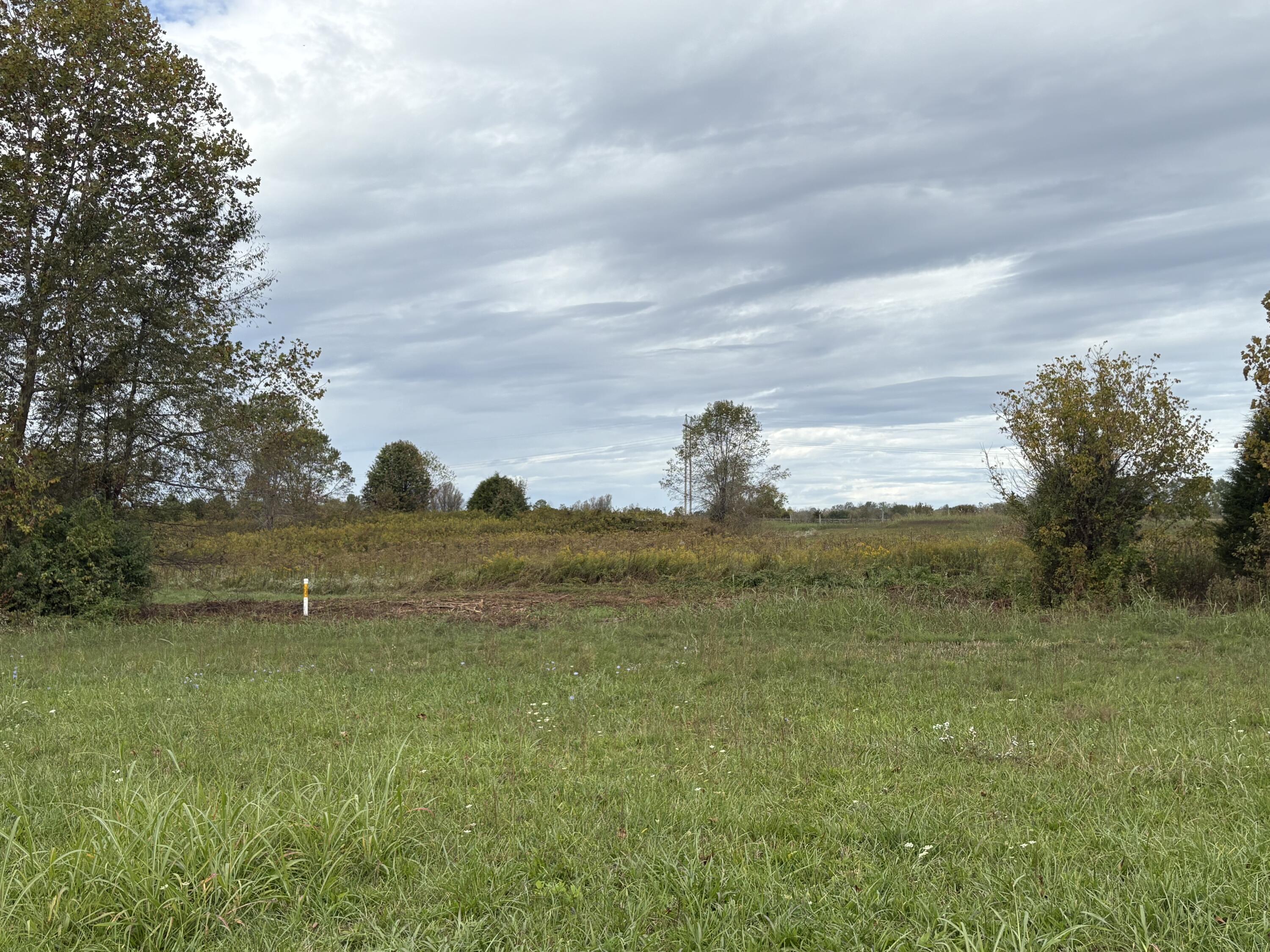 3934 Trapp-goffs Corner Road Property Photo 20