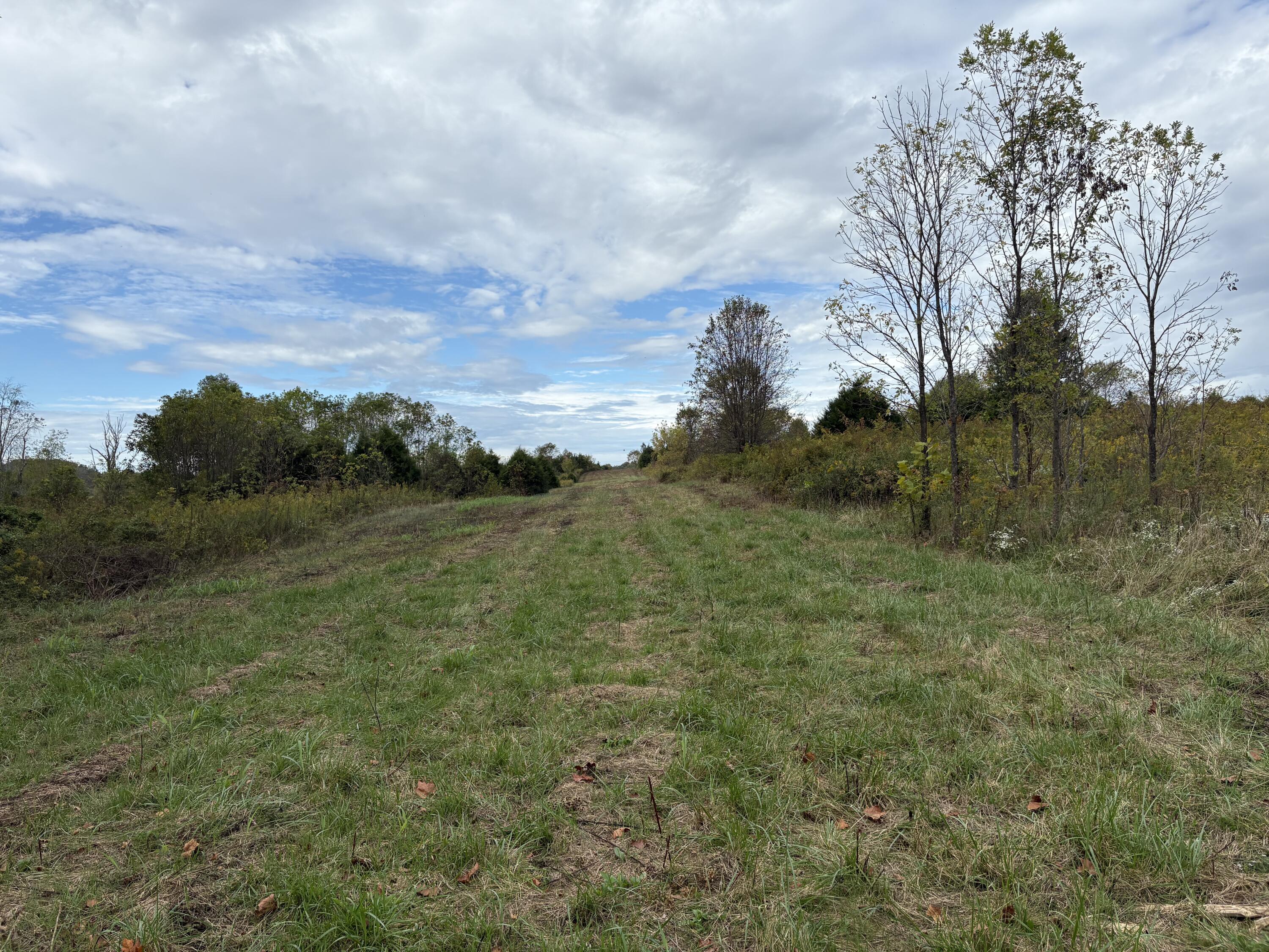 3934 Trapp-goffs Corner Road Property Photo 21