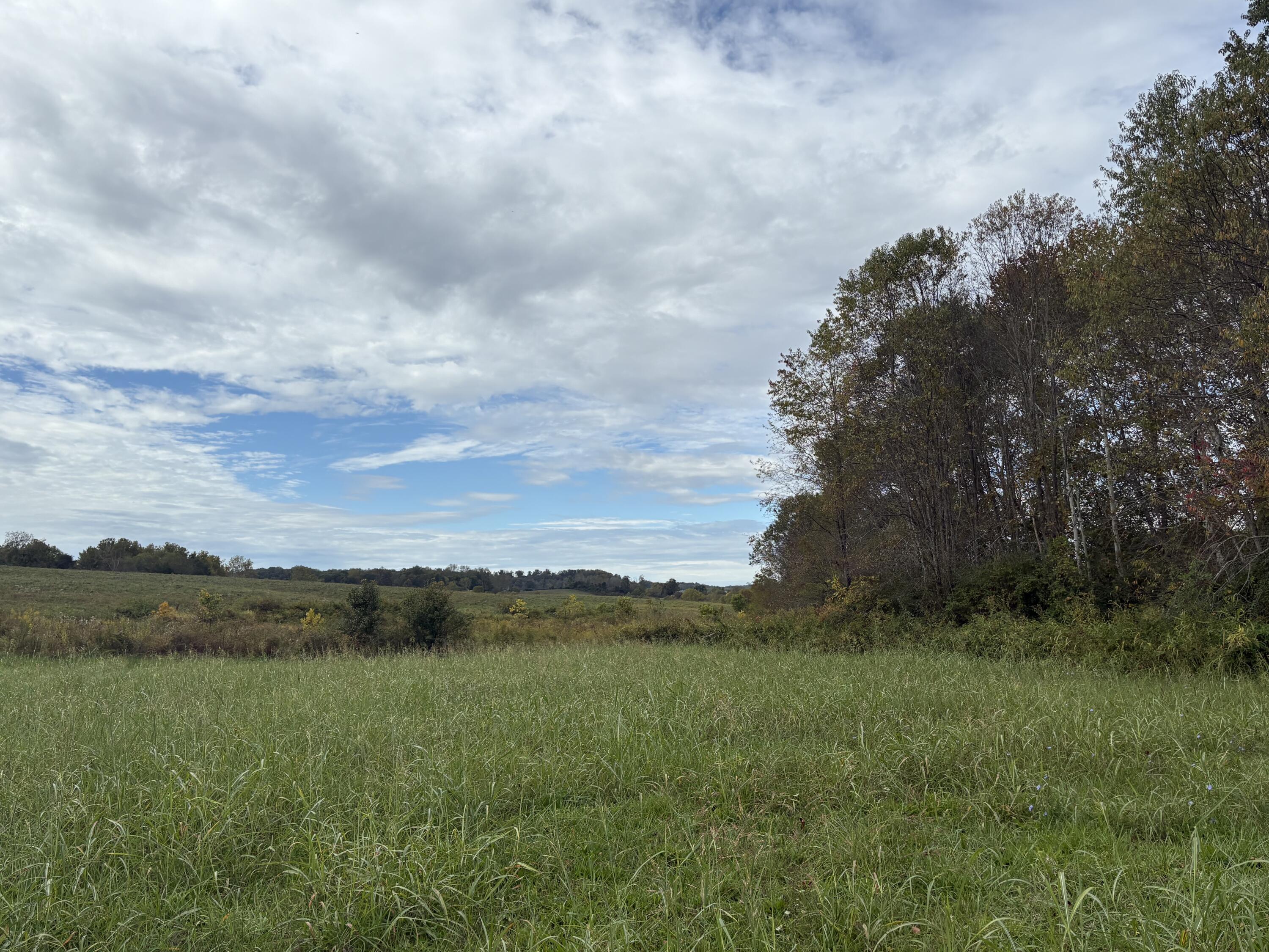 3934 Trapp-goffs Corner Road Property Photo 22