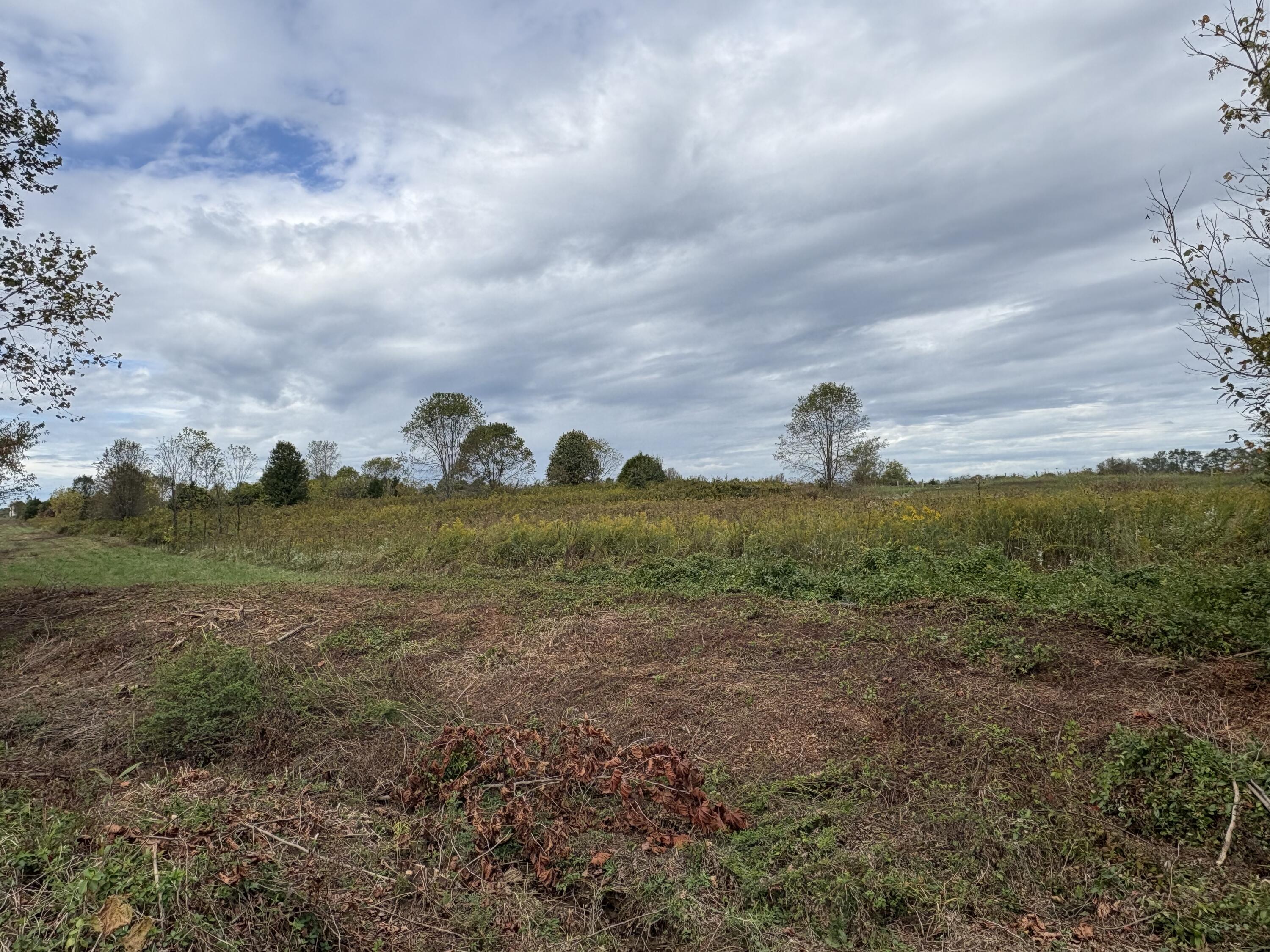 3934 Trapp-goffs Corner Road Property Photo 23