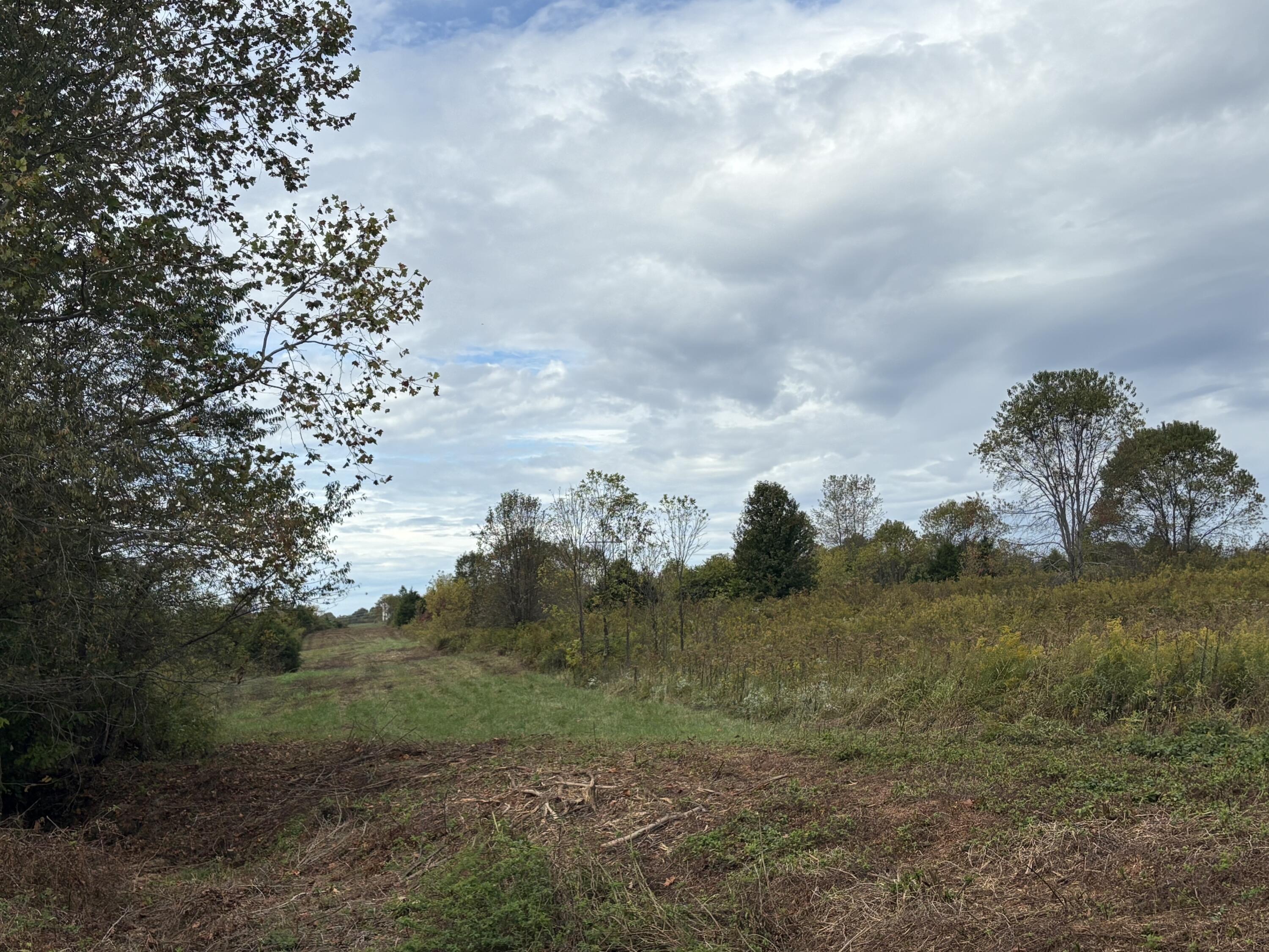 3934 Trapp-goffs Corner Road Property Photo 24