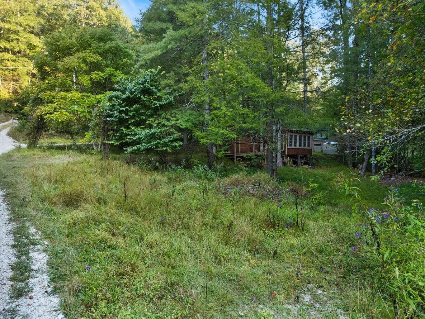 9999 Deer Track Road Property Photo 7
