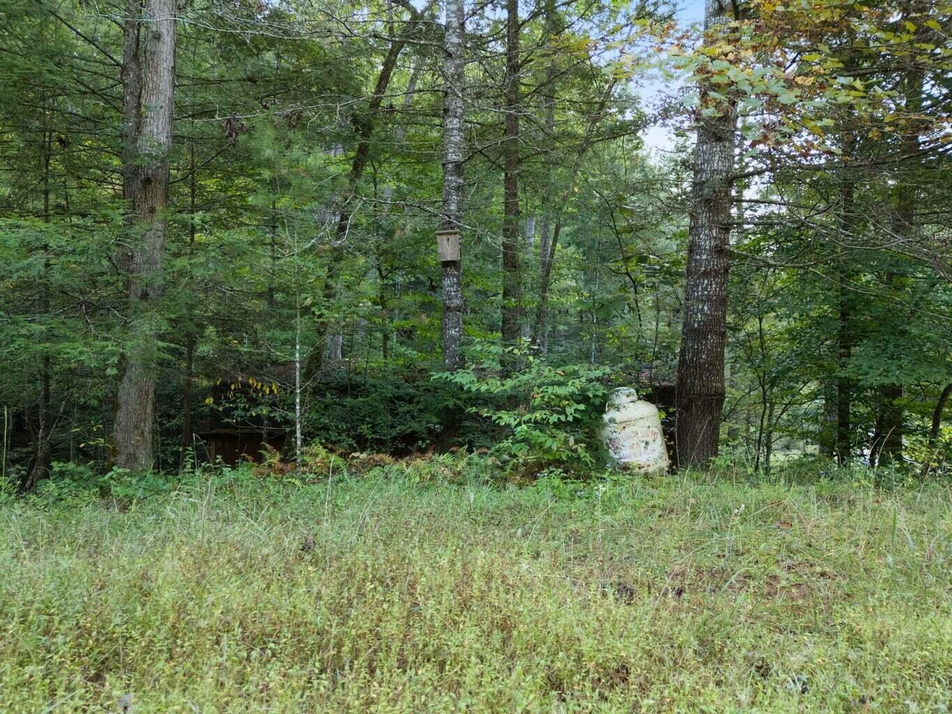 9999 Deer Track Road Property Photo 8