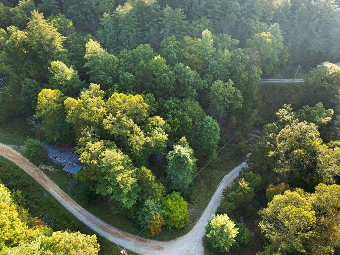 9999 Deer Track Road Property Photo 11