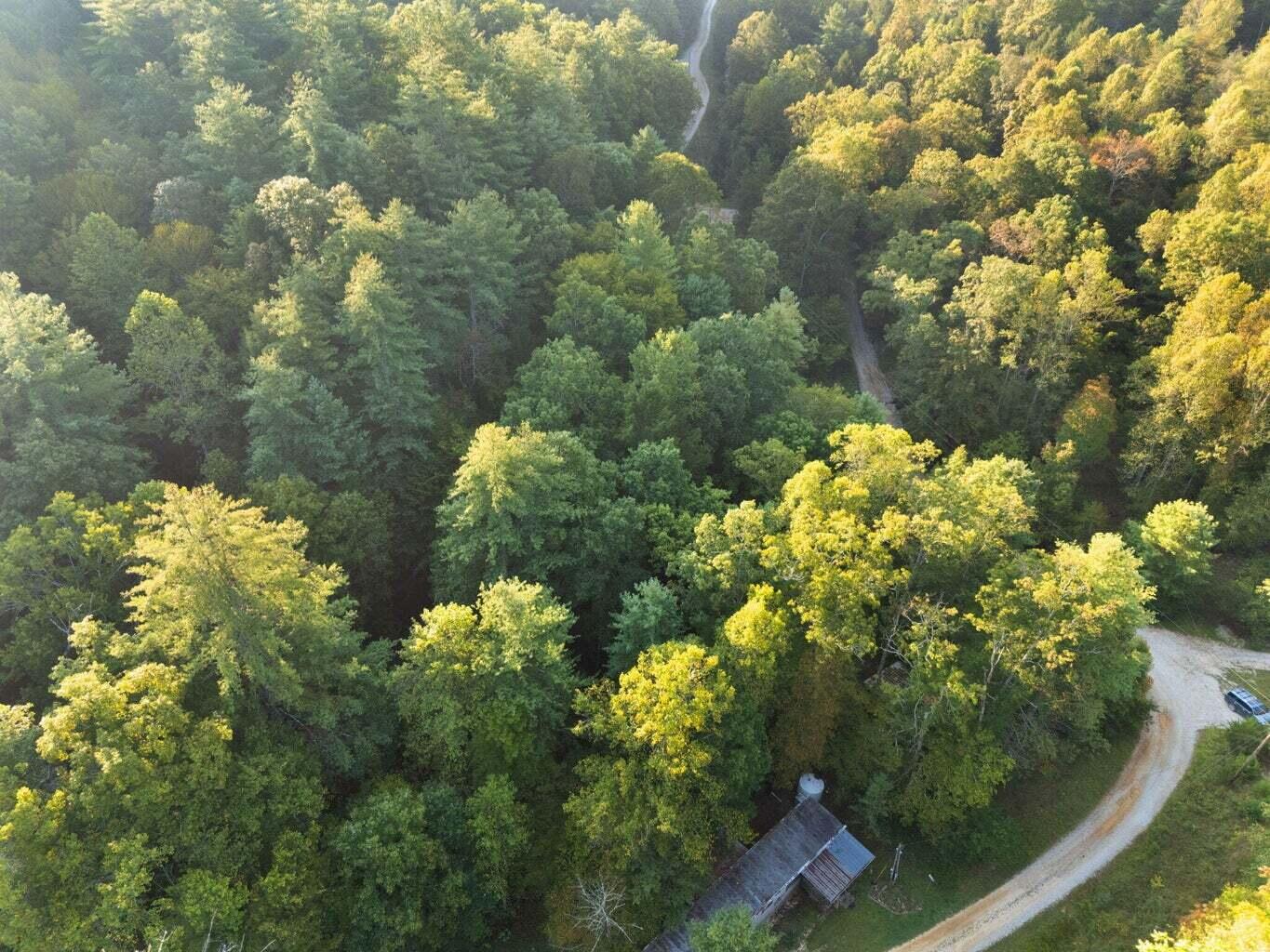 9999 Deer Track Road Property Photo 12