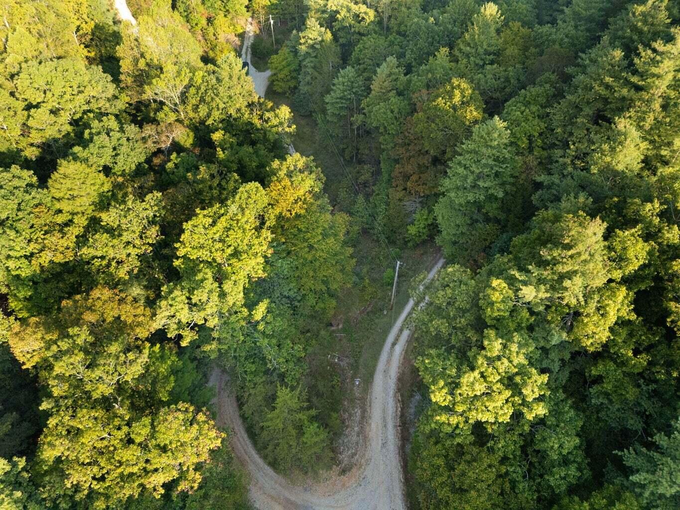9999 Deer Track Road Property Photo 15