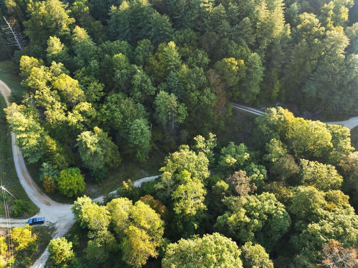 9999 Deer Track Road Property Photo 16