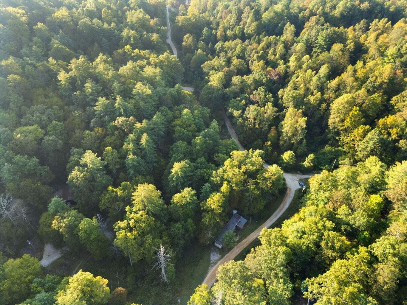 9999 Deer Track Road Property Photo 17