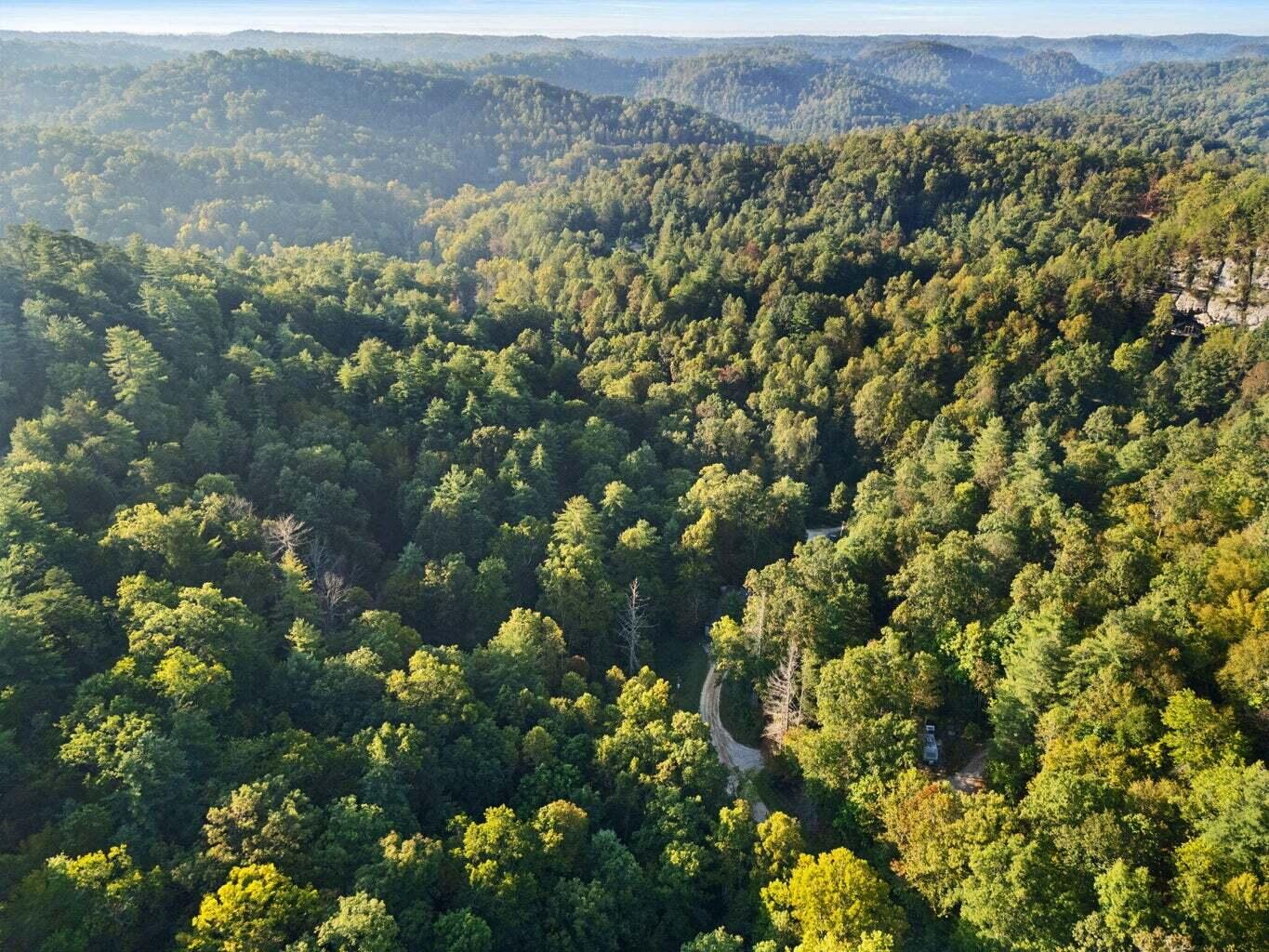 9999 Deer Track Road Property Photo 18