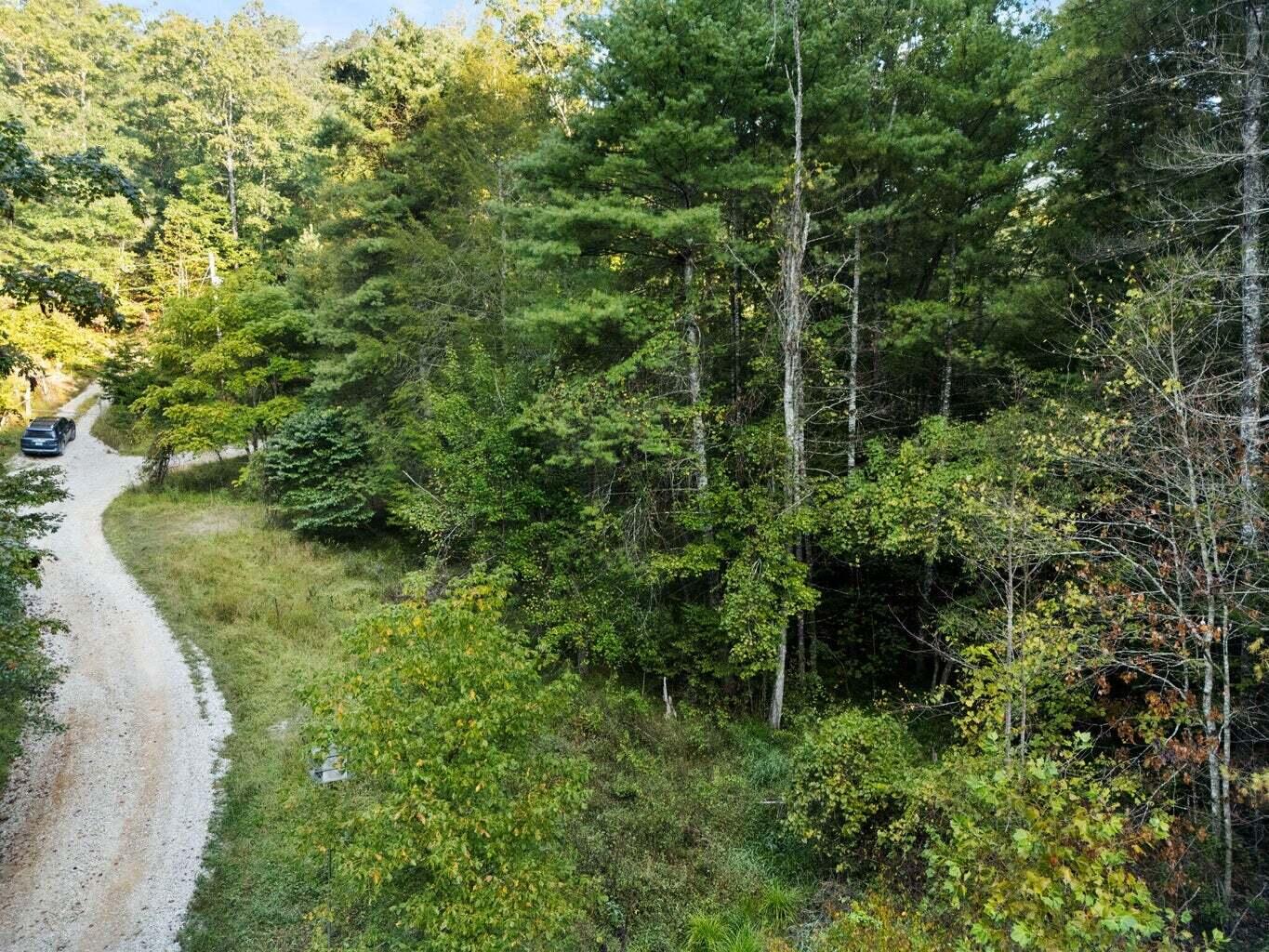 9999 Deer Track Road Property Photo 22