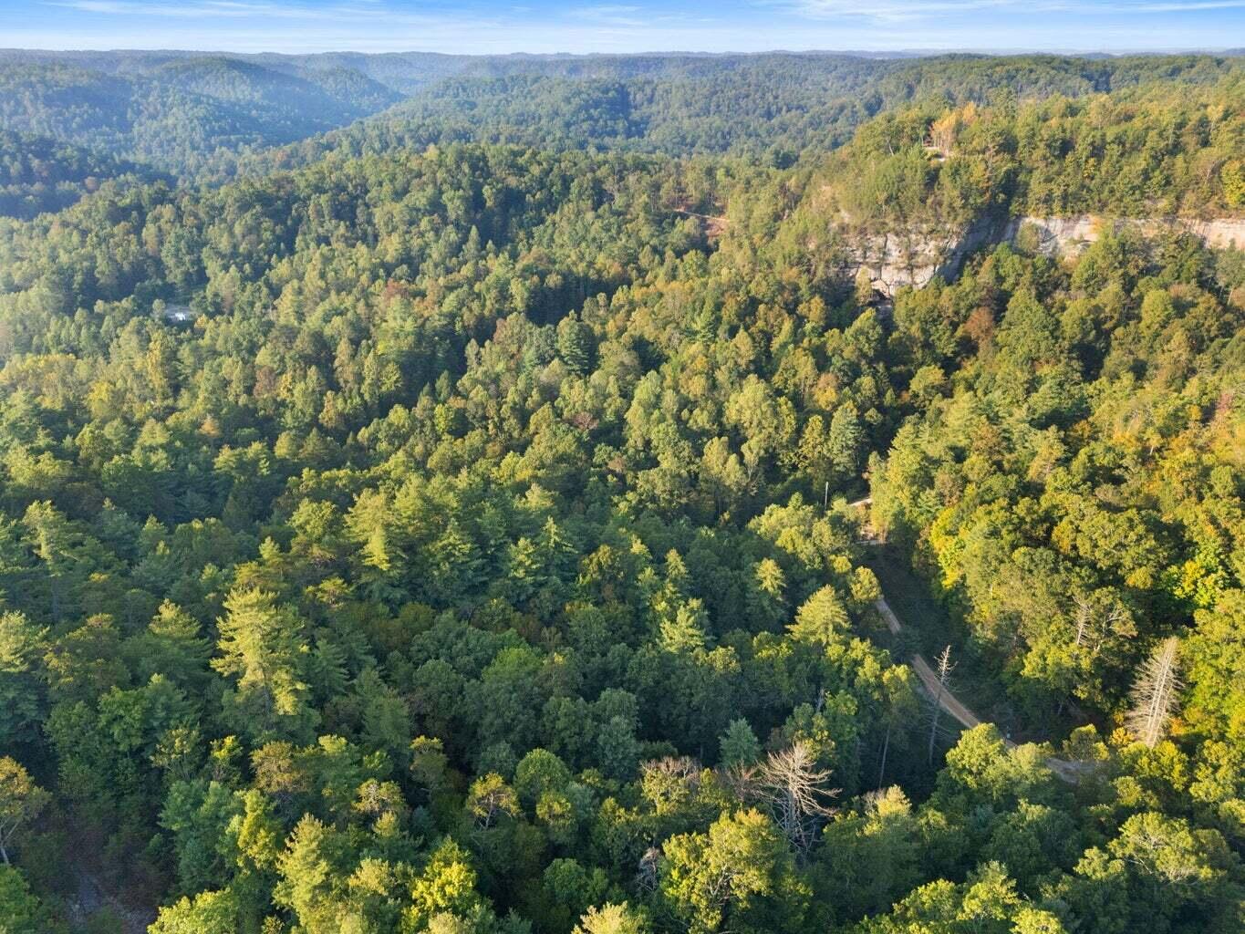 9999 Deer Track Road Property Photo 25