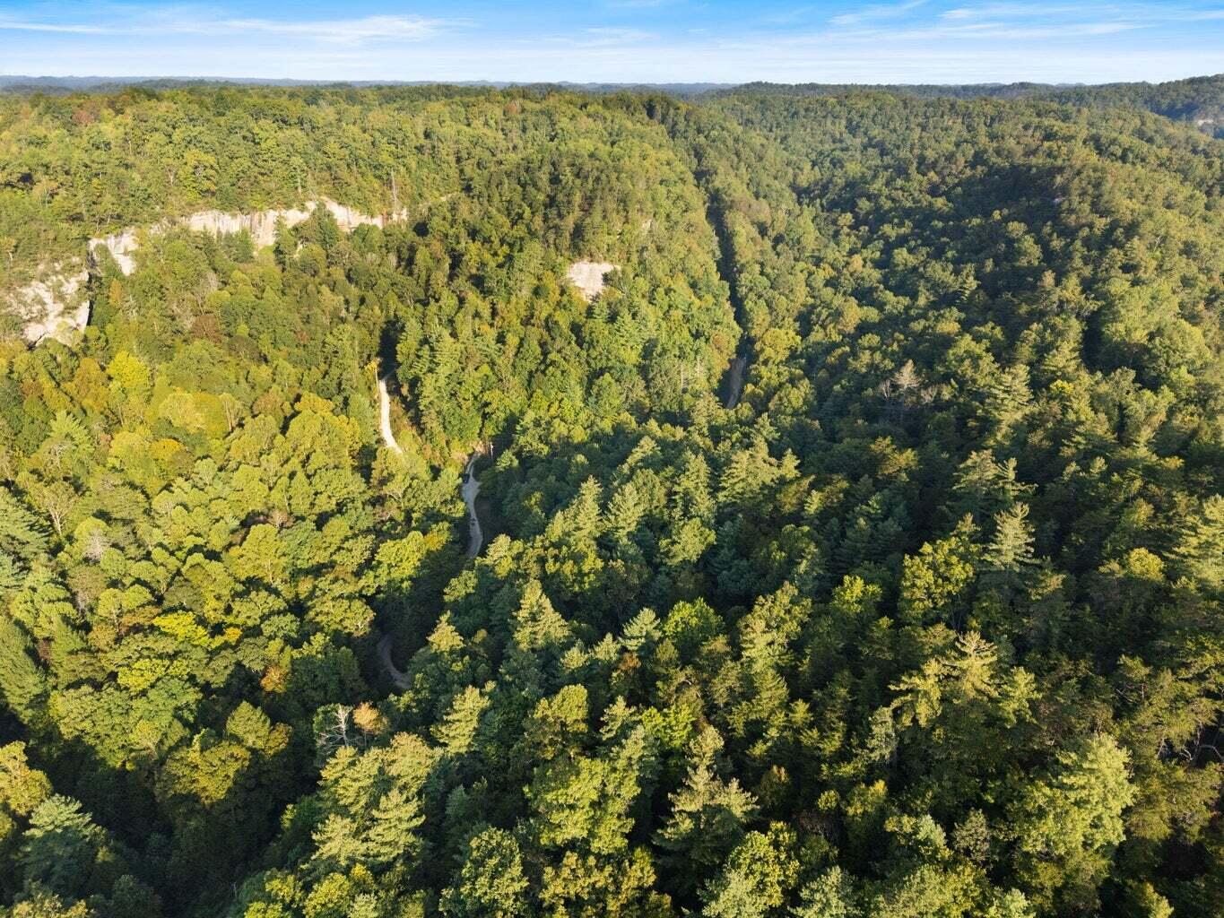 9999 Deer Track Road Property Photo 26
