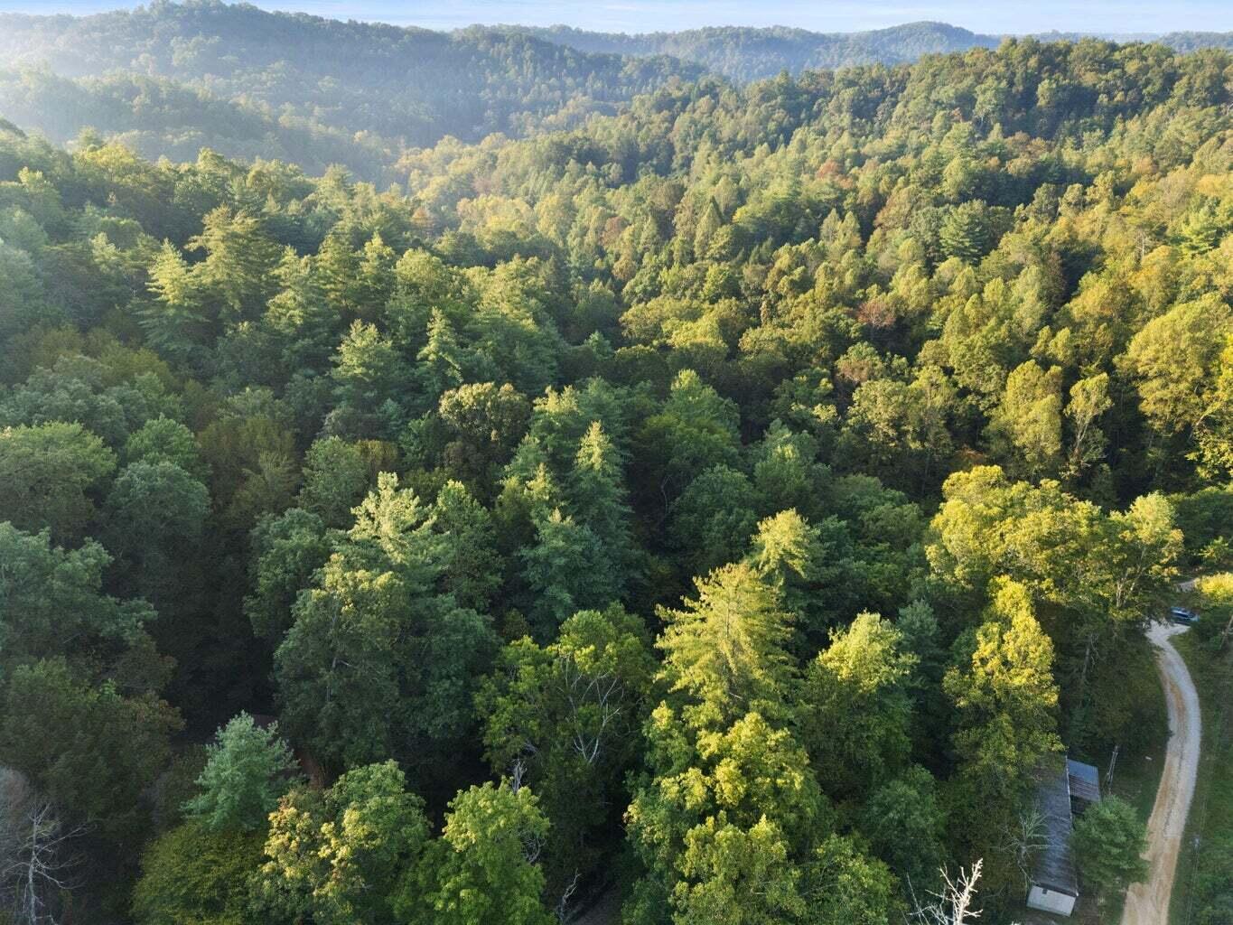 9999 Deer Track Road Property Photo 29