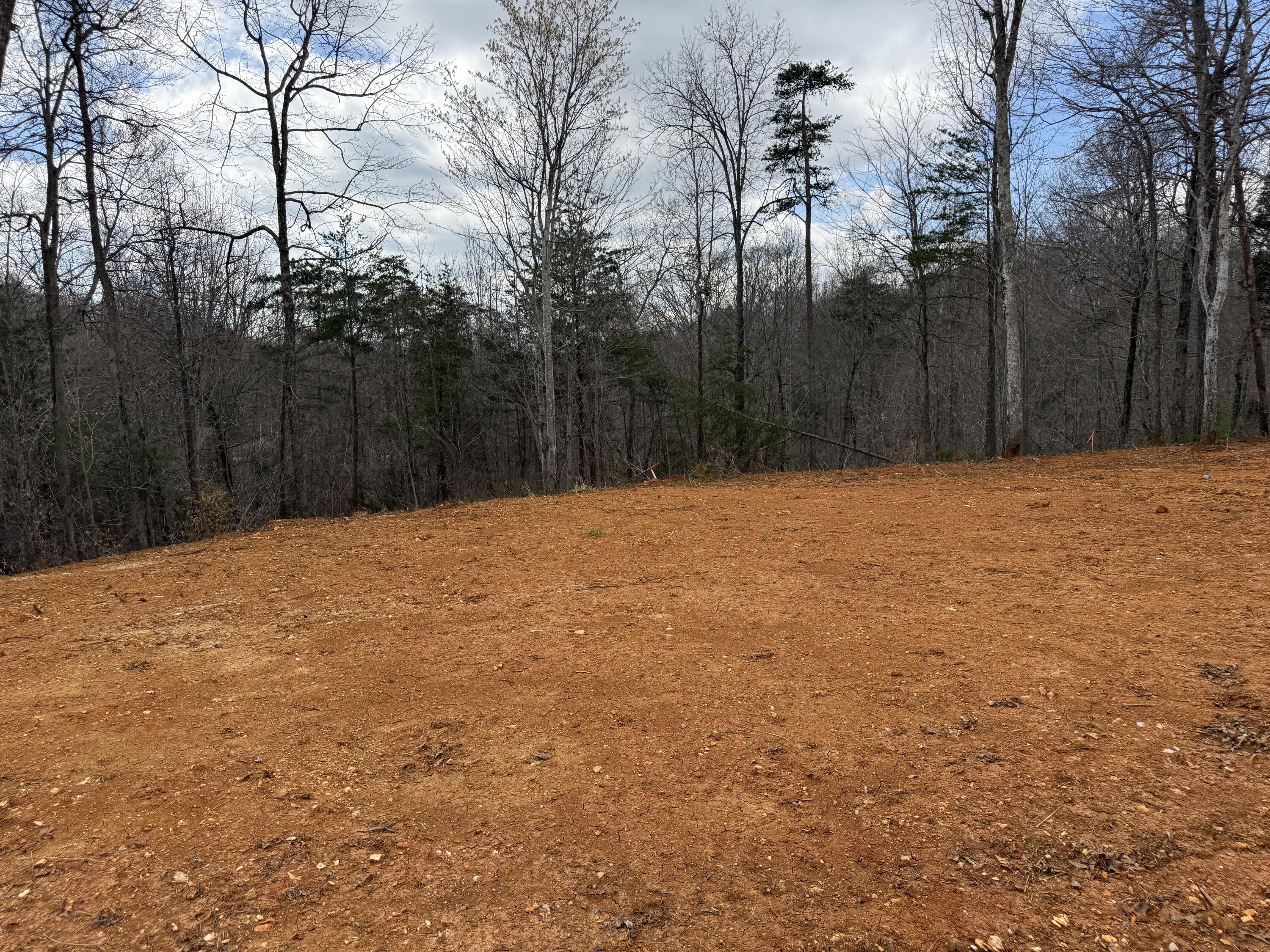 Lot 3 Phase 2 Stearns Hollow Road Property Photo 1
