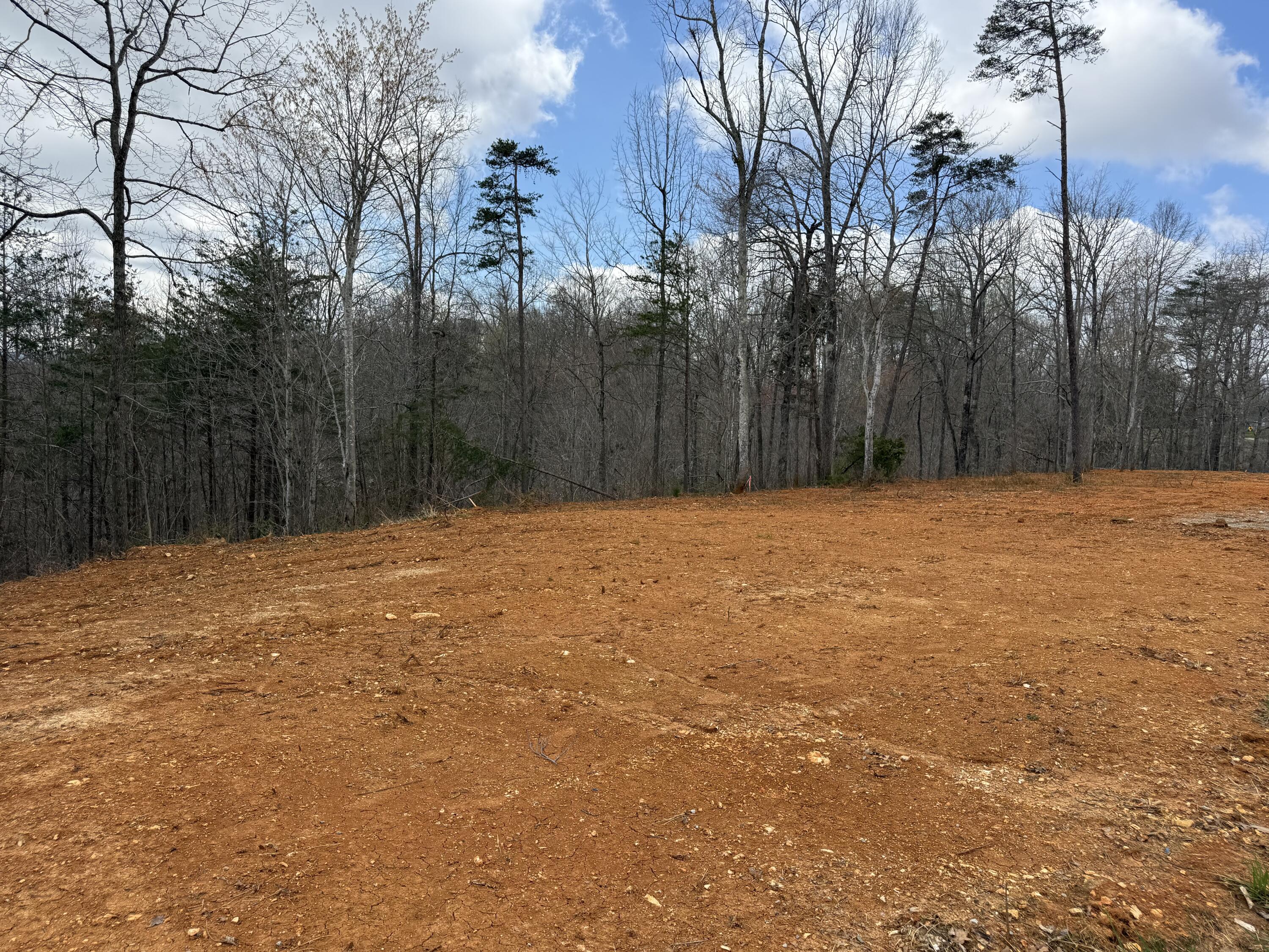 Lot 3 Phase 2 Stearns Hollow Road Property Photo 2