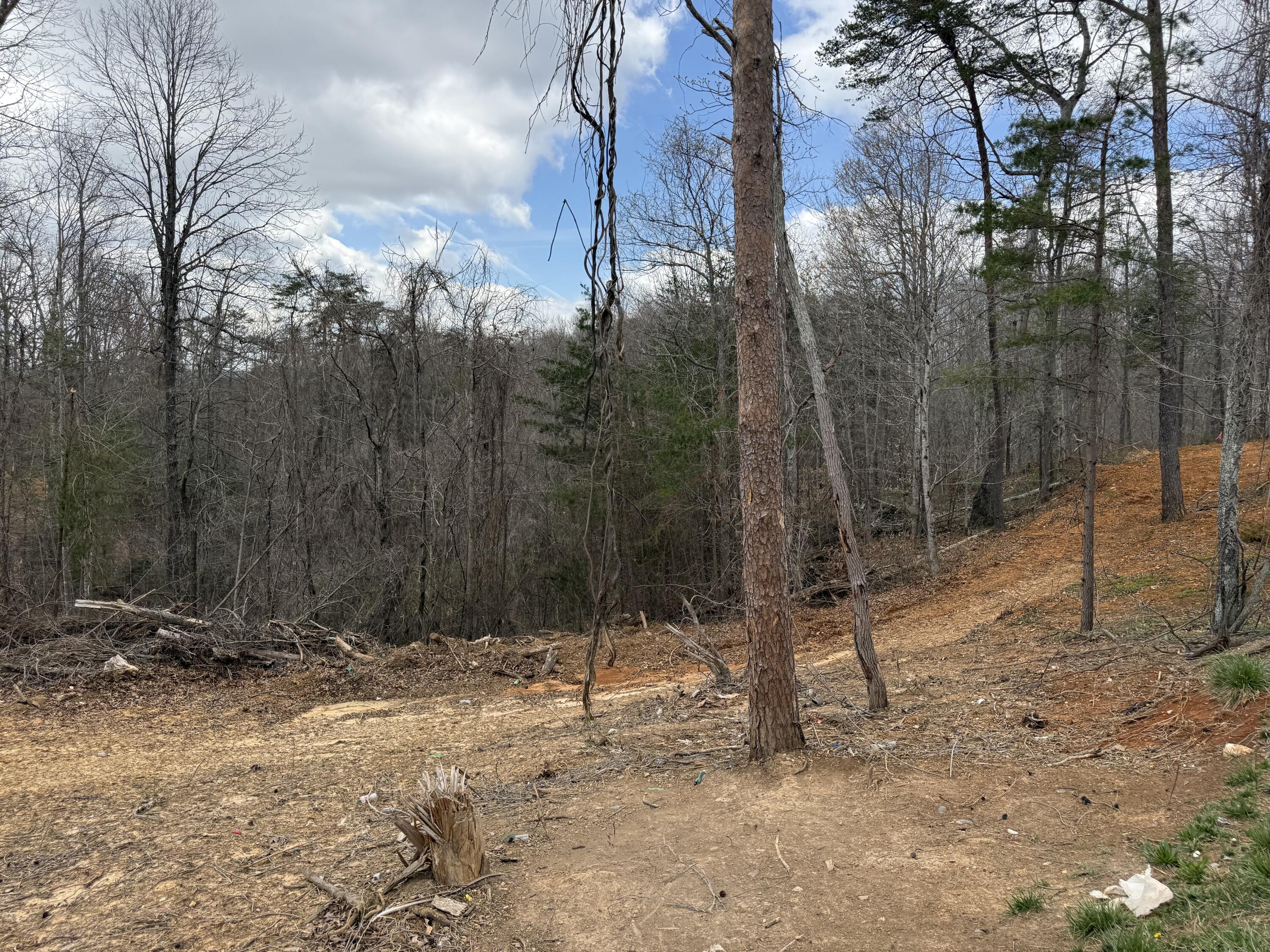 Lot 4 Phase 2 Stearns Hollow Road Property Photo 1