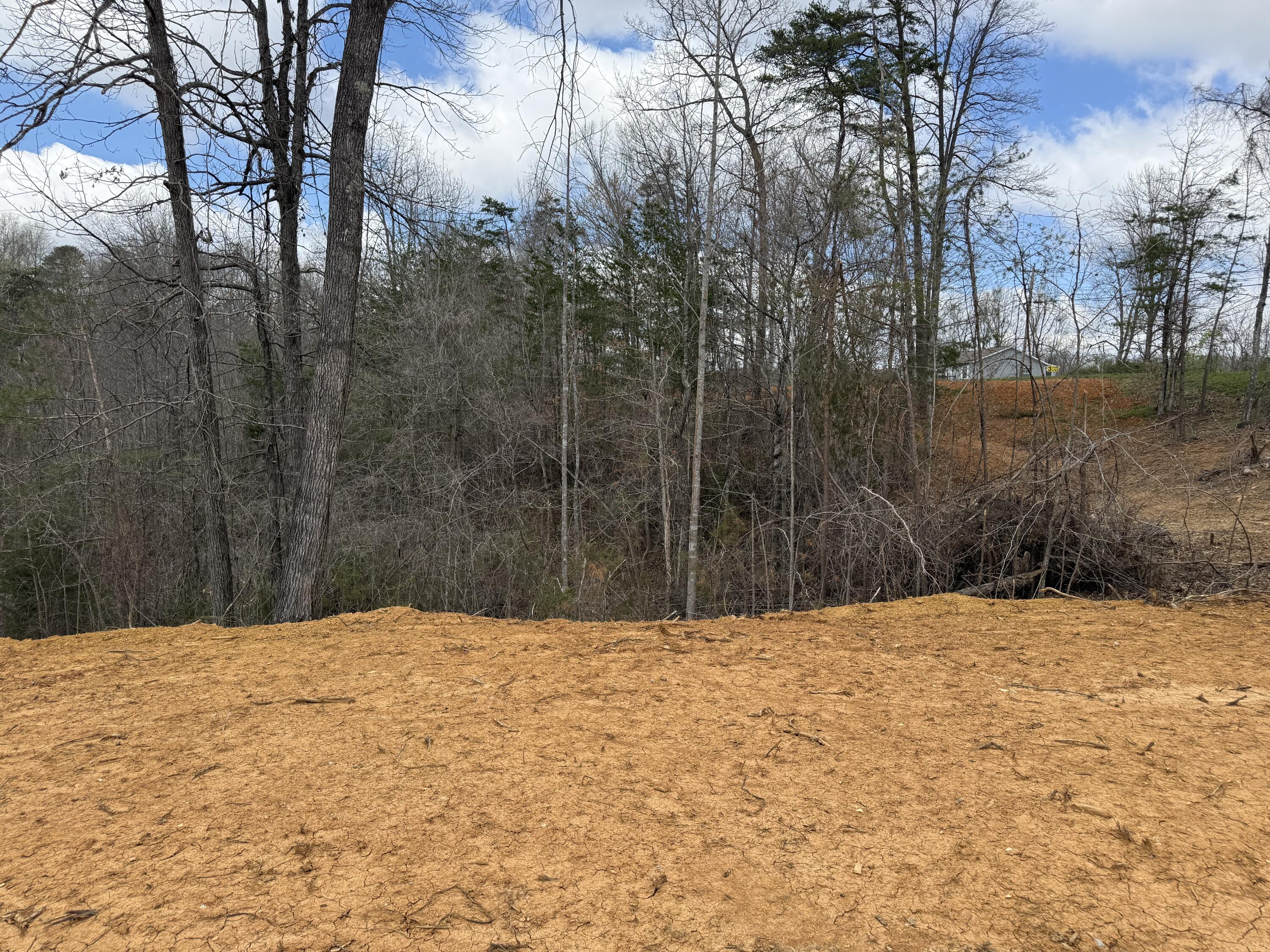 Lot 5 Phase 2 Stearns Hollow Road Property Photo 1