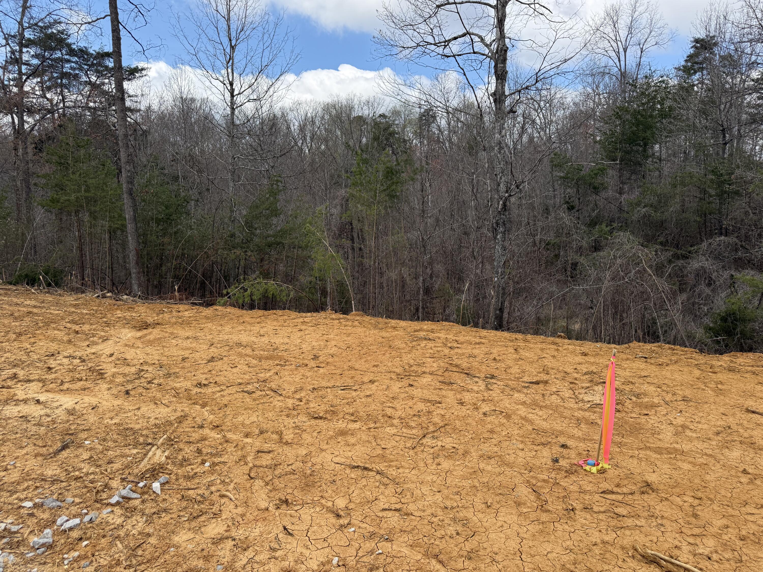 Lot 6 Phase 2 Stearns Hollow Road Property Photo 1