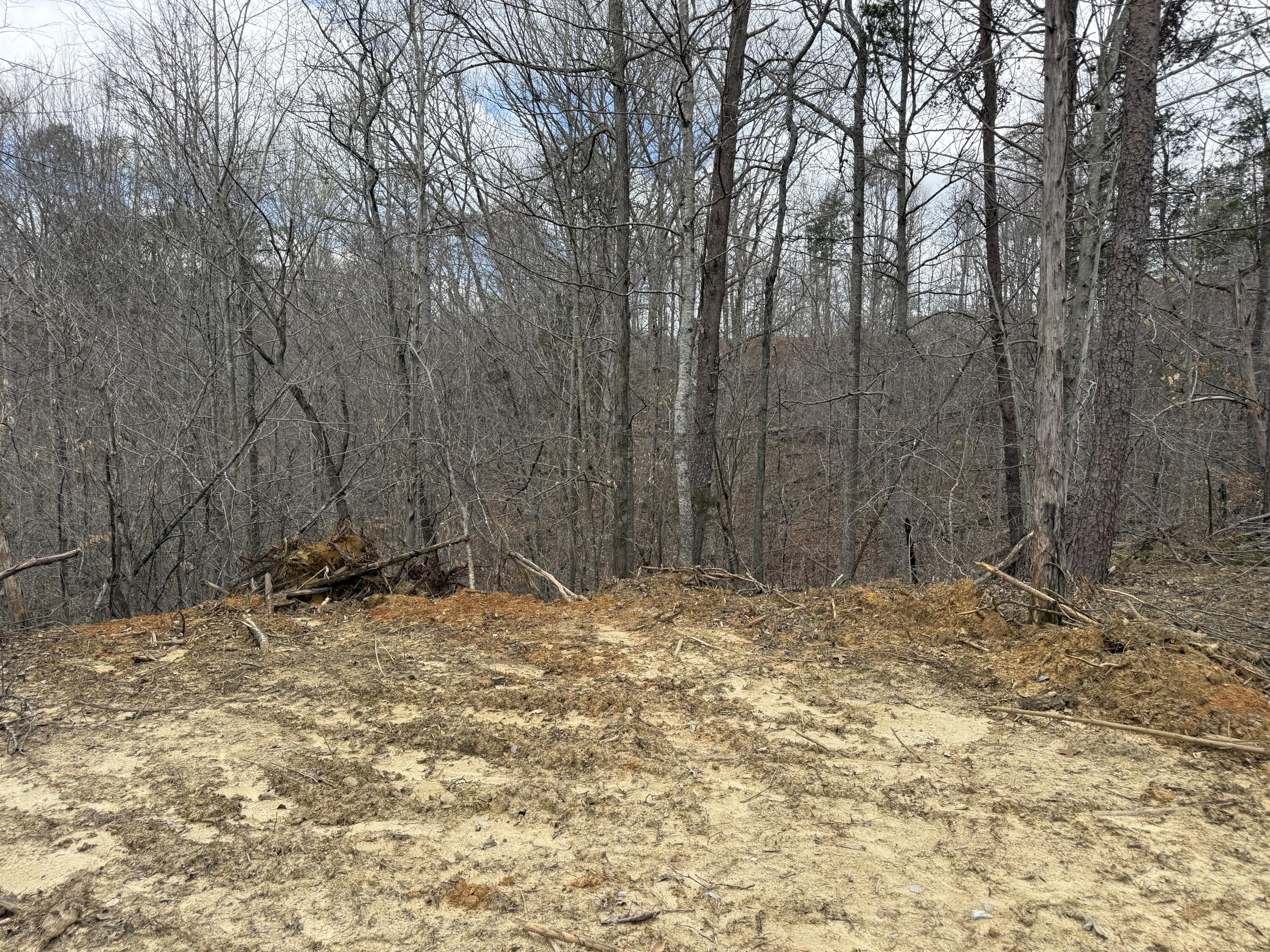Lot 8 Phase 2 Stearns Hollow Road Property Photo 1