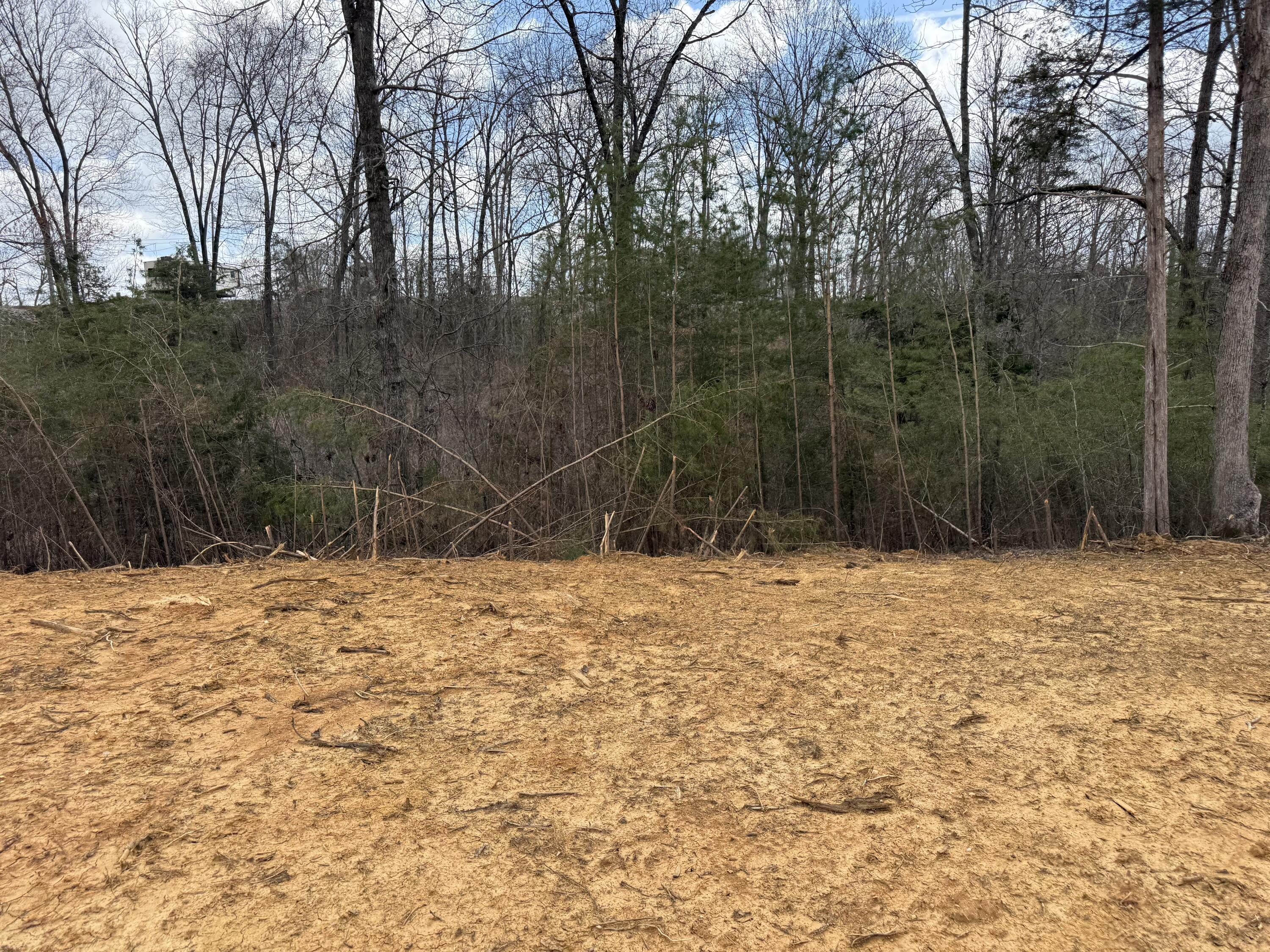 Lot 10 Phase 2 Stearns Hollow Road Property Photo 1