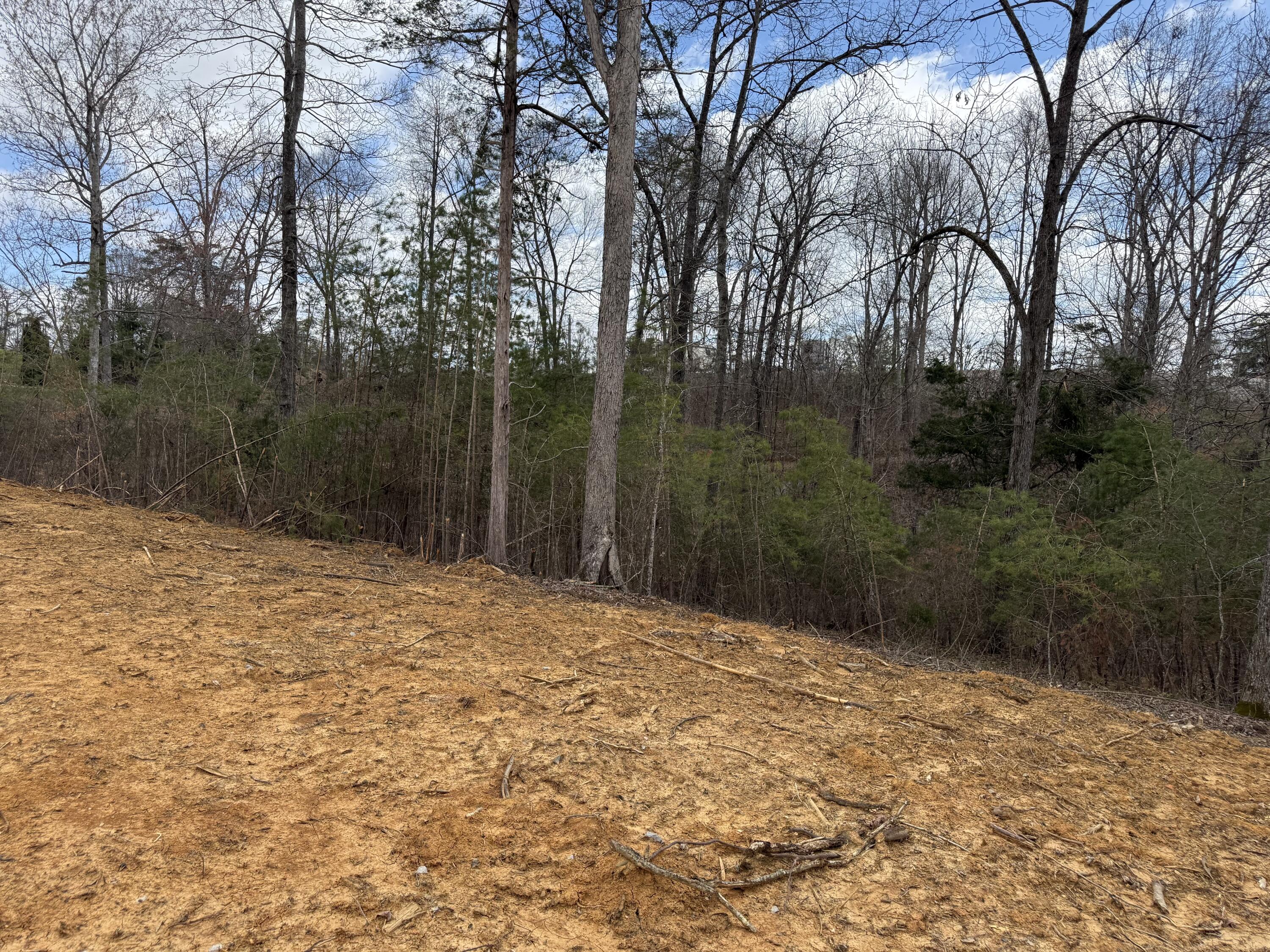 Lot 10 Phase 2 Stearns Hollow Road Property Photo 2